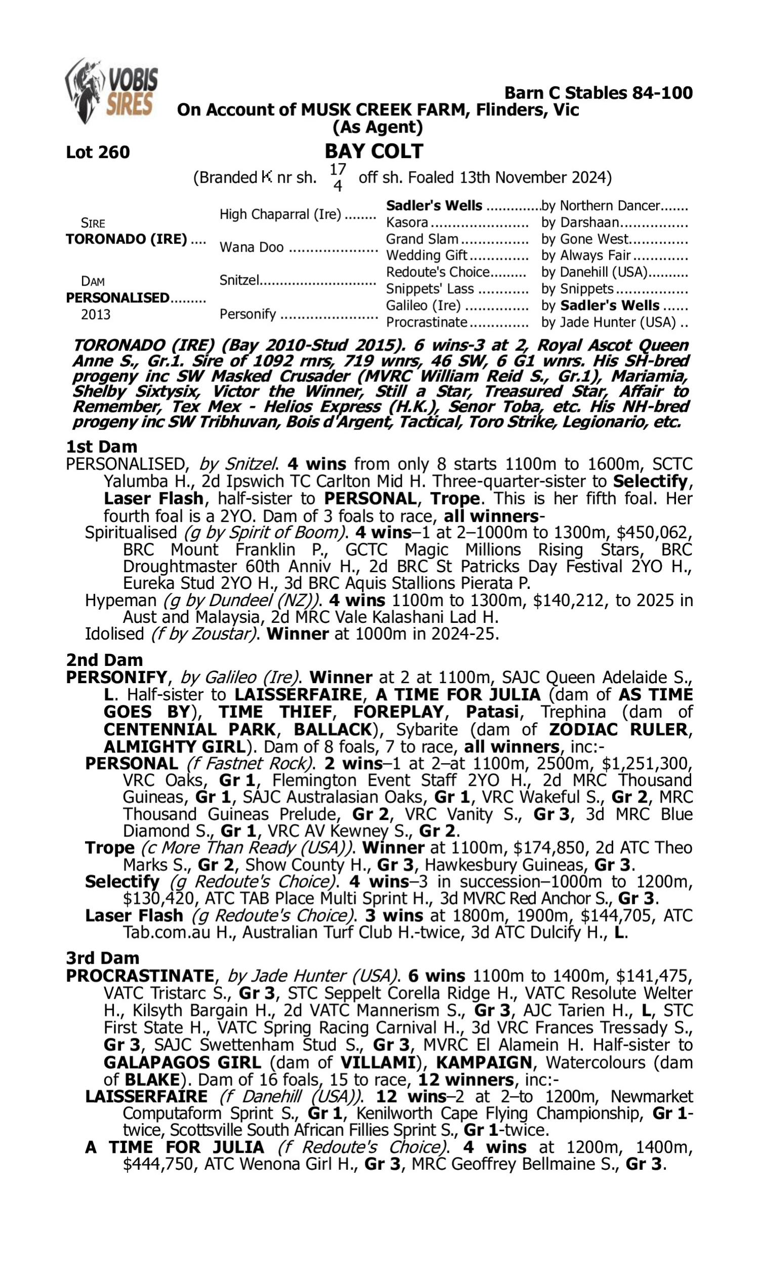 Pedigree for Lot 260 Toronado (IRE) - Personalised