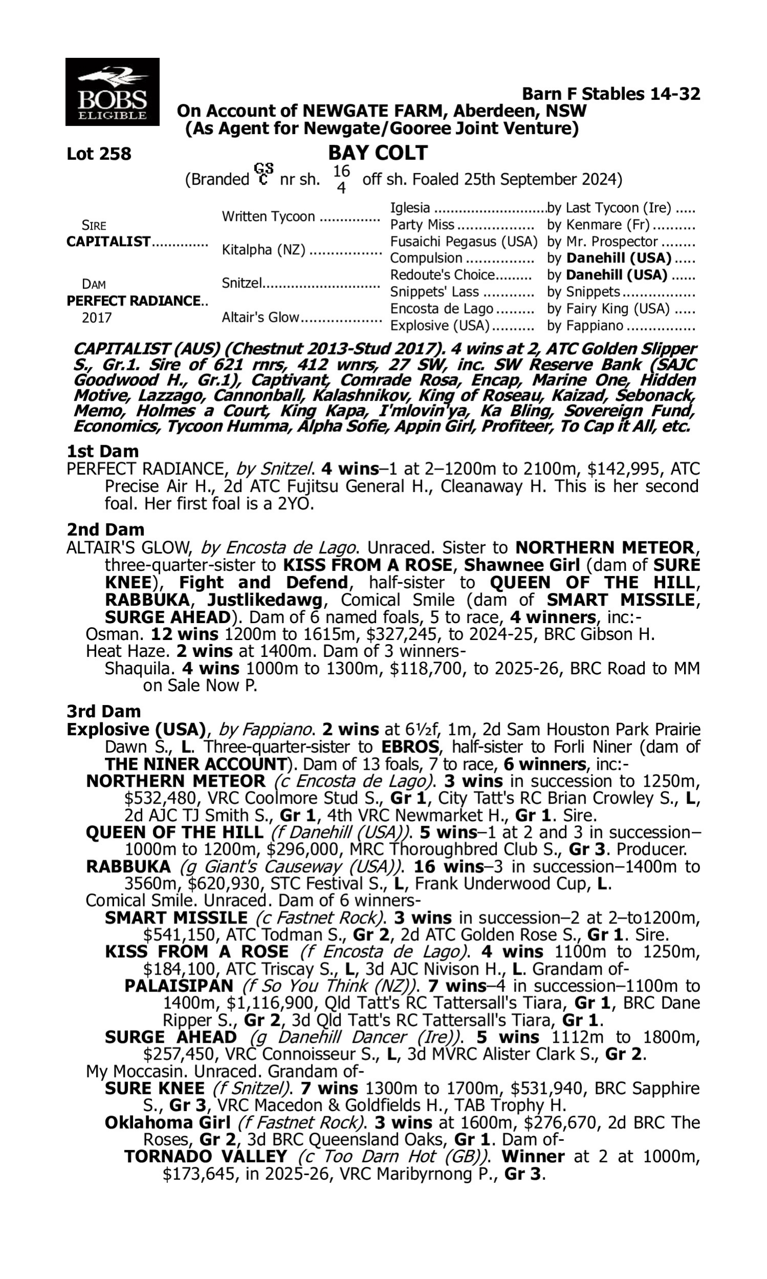 Pedigree for Lot 258 Capitalist - Perfect Radiance