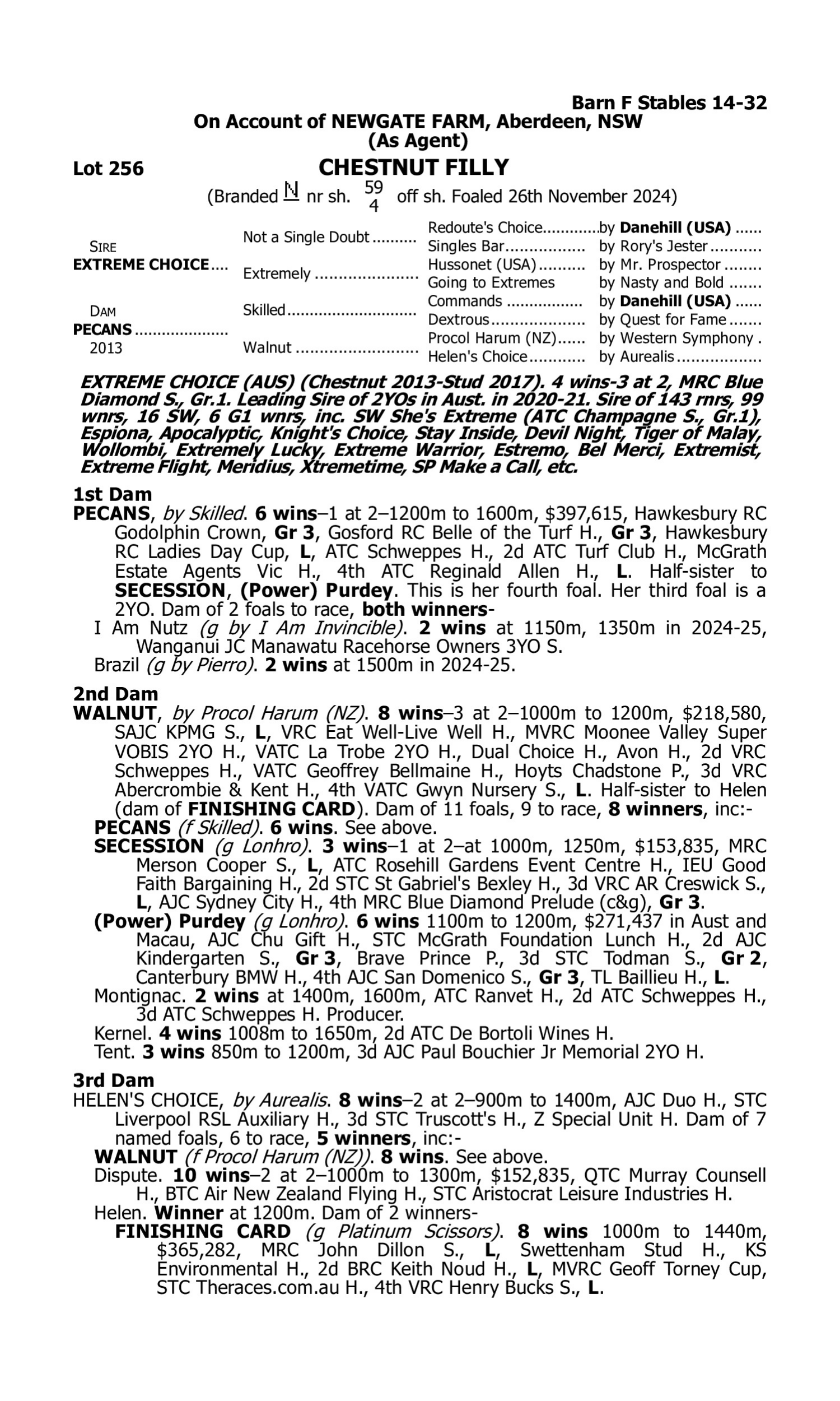 Pedigree for Lot 256 Extreme Choice - Pecans