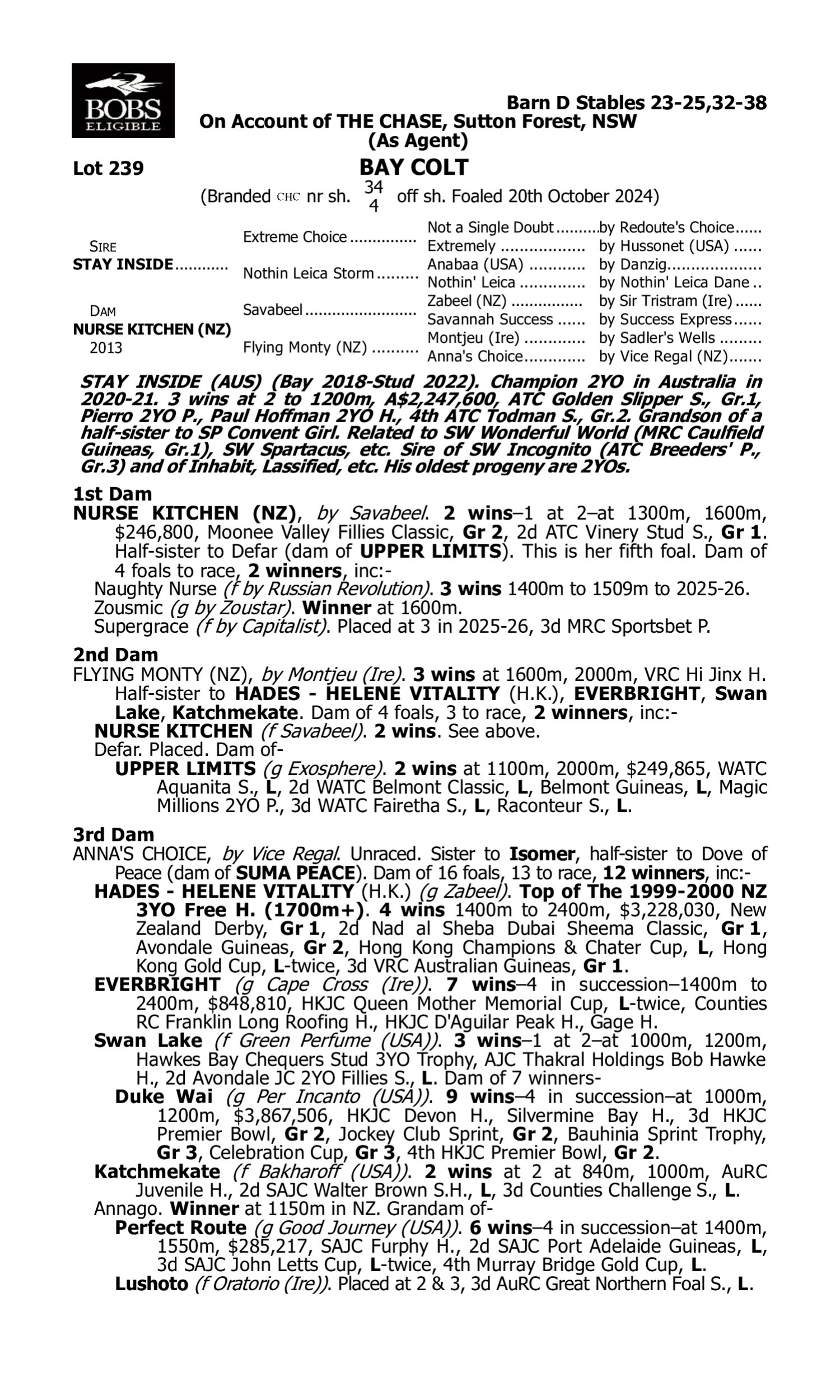Pedigree for Lot 239 Stay Inside - Nurse Kitchen (NZ)