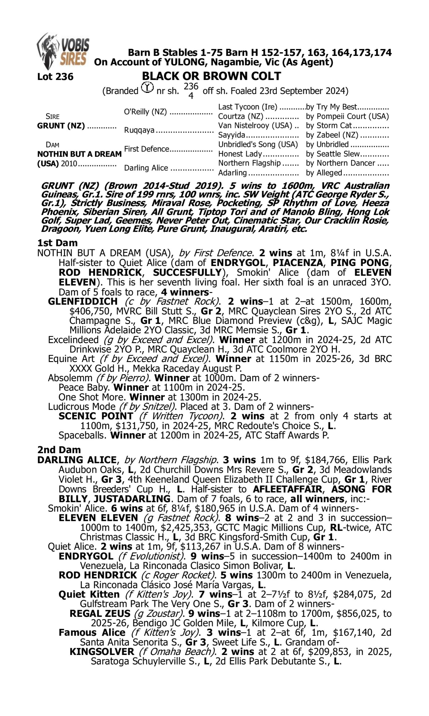 Pedigree for Lot 236 Grunt (NZ) - Nothin But a Dream (USA)