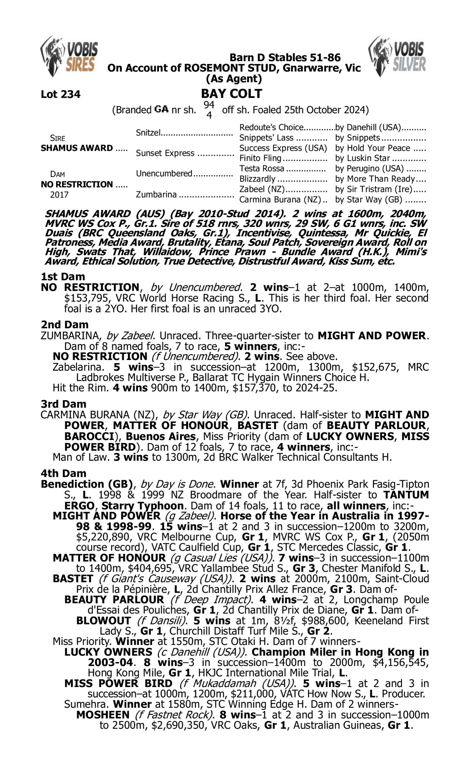 Pedigree for Lot 234 Shamus Award - No Restriction