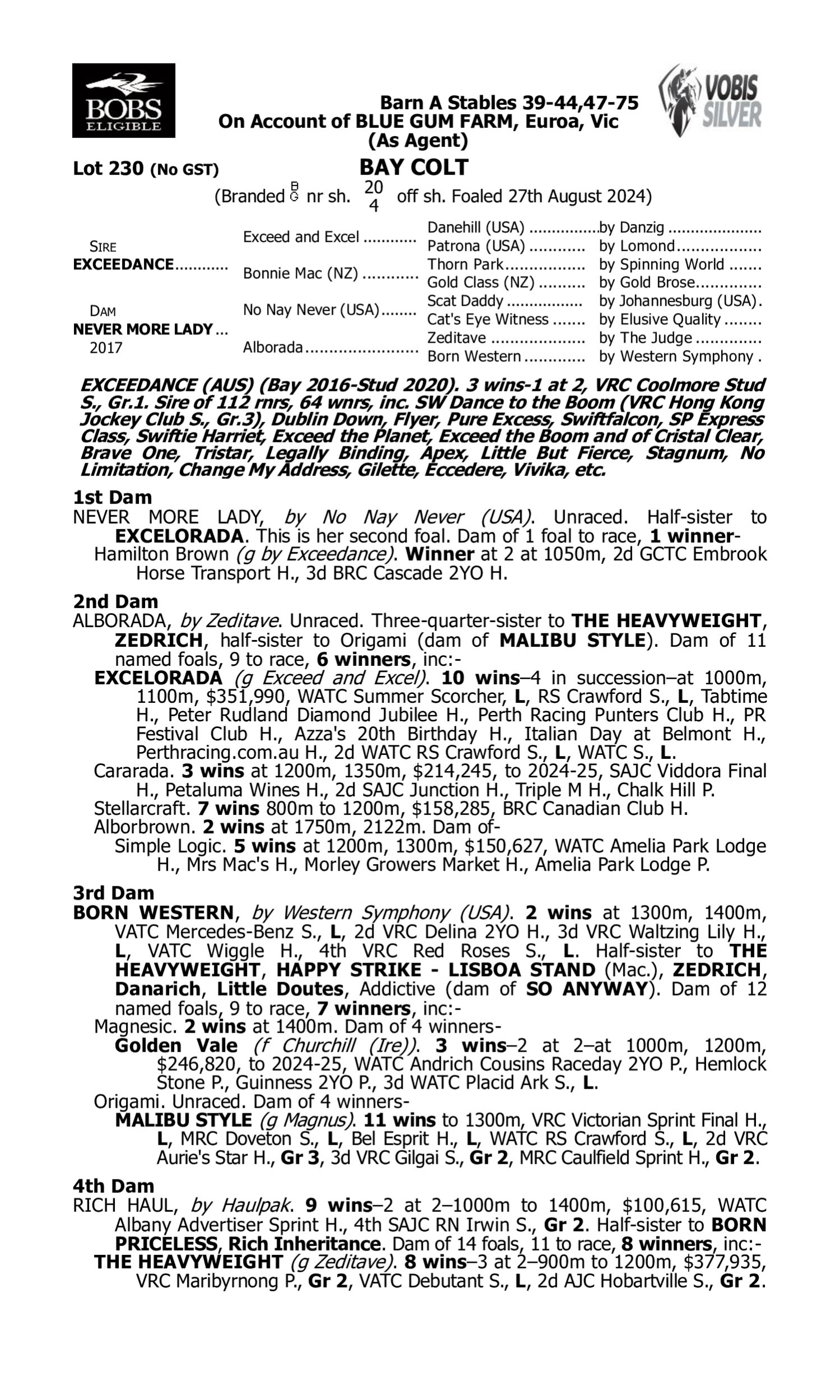 Pedigree for Lot 230 Exceedance - Never More Lady