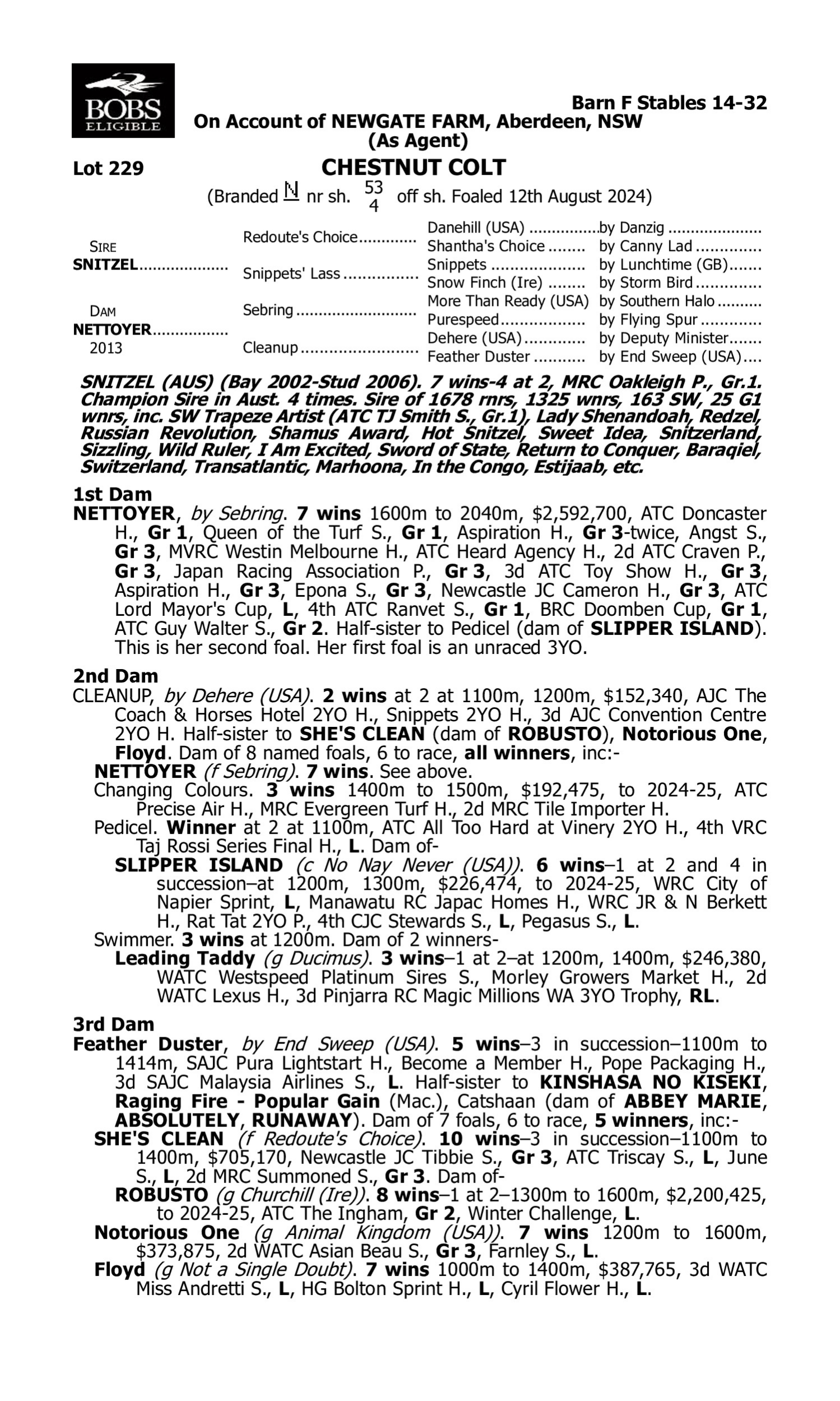 Pedigree for Lot 229 Snitzel - Nettoyer