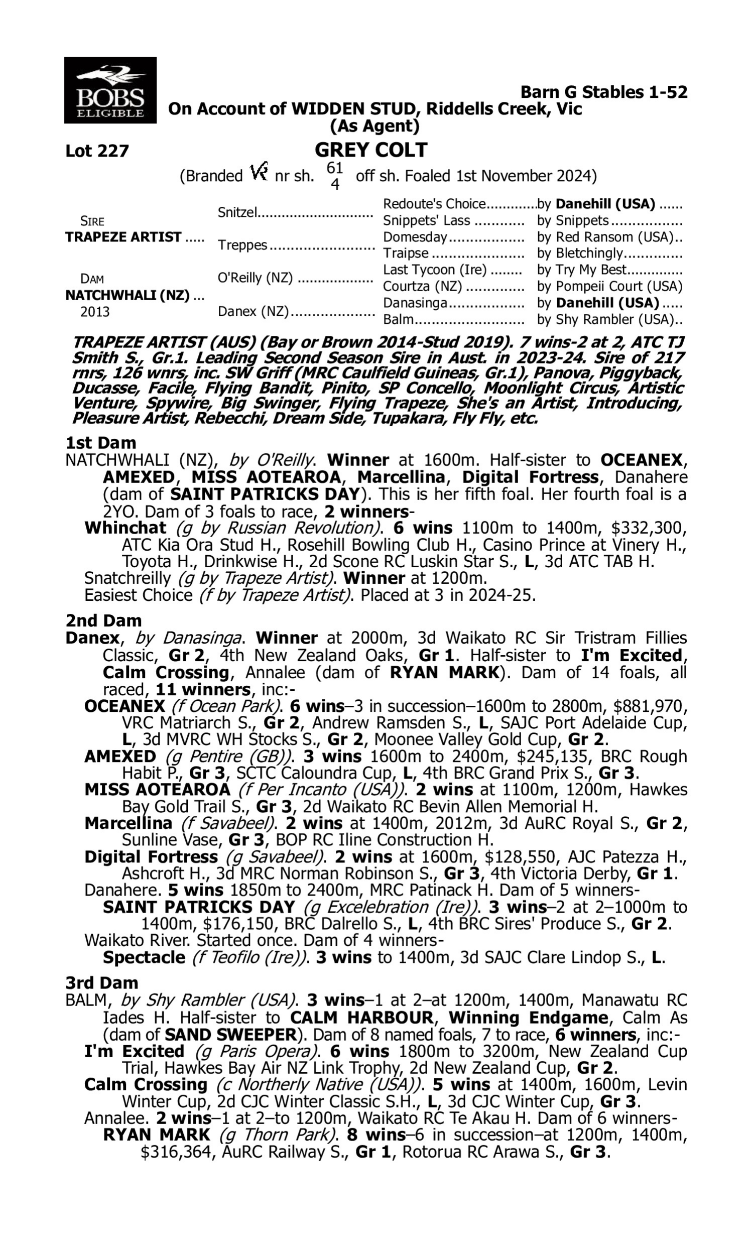 Pedigree for Lot 227 Trapeze Artist - Natchwhali (NZ)