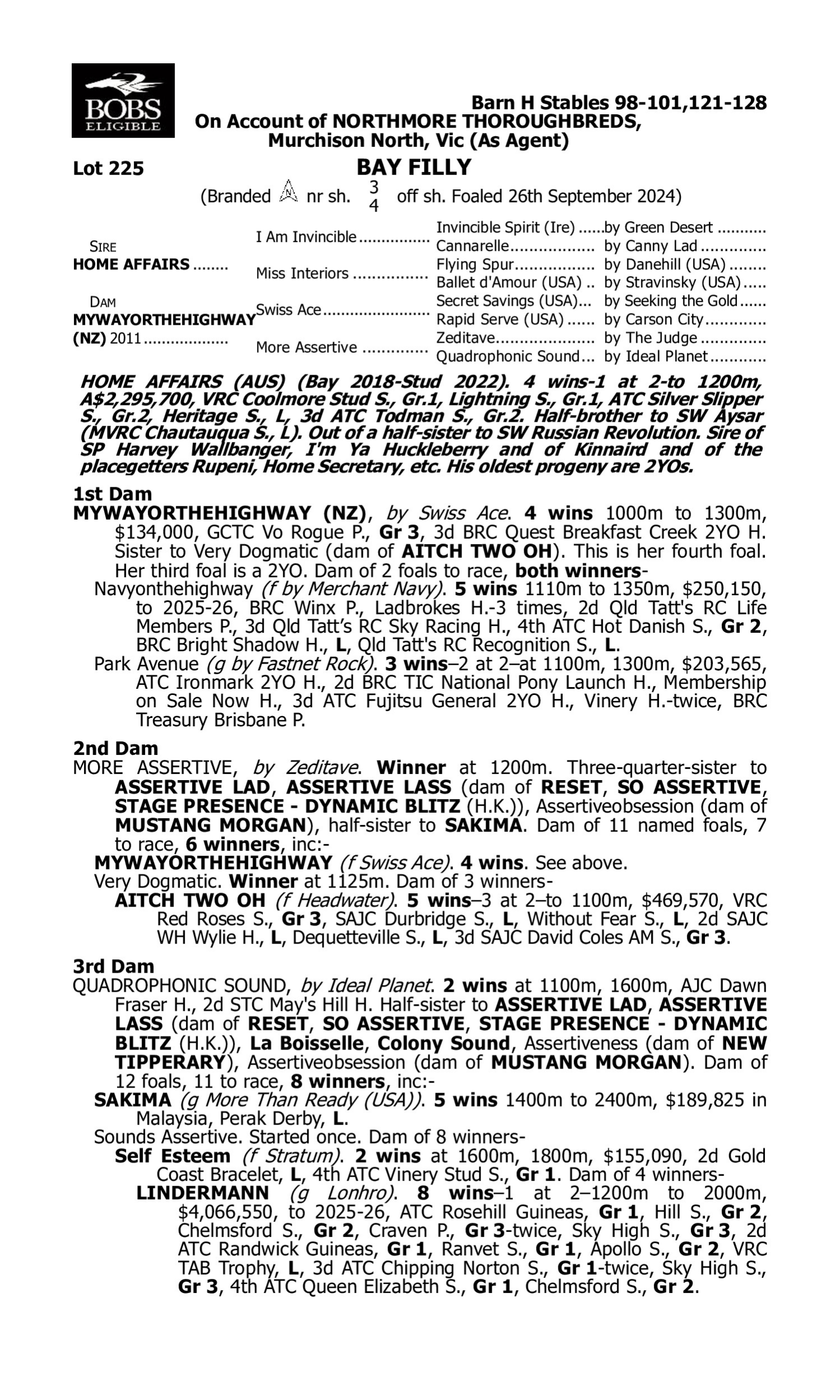 Pedigree for Lot 225 Home Affairs - Mywayorthehighway (NZ)