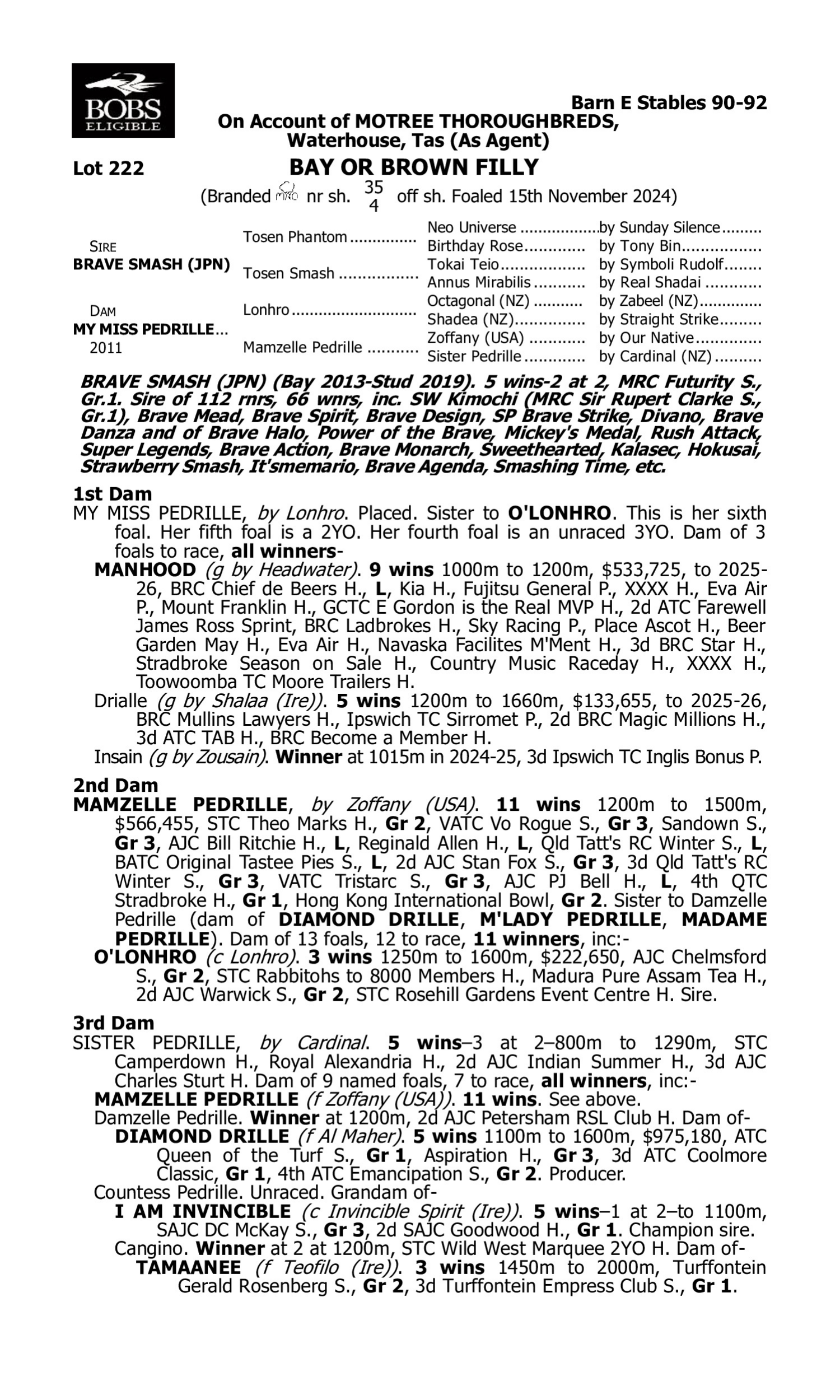 Pedigree for Lot 222 Brave Smash (JPN) - My Miss Pedrille