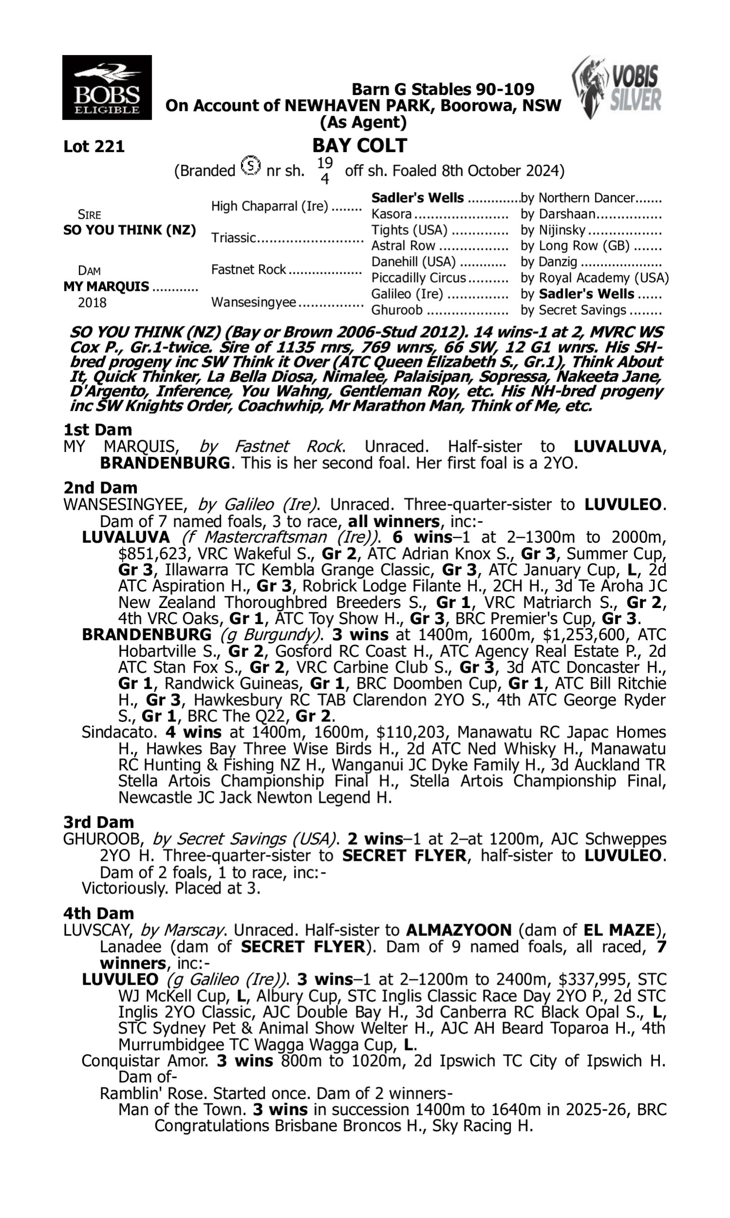 Pedigree for Lot 221 So You Think (NZ) - My Marquis