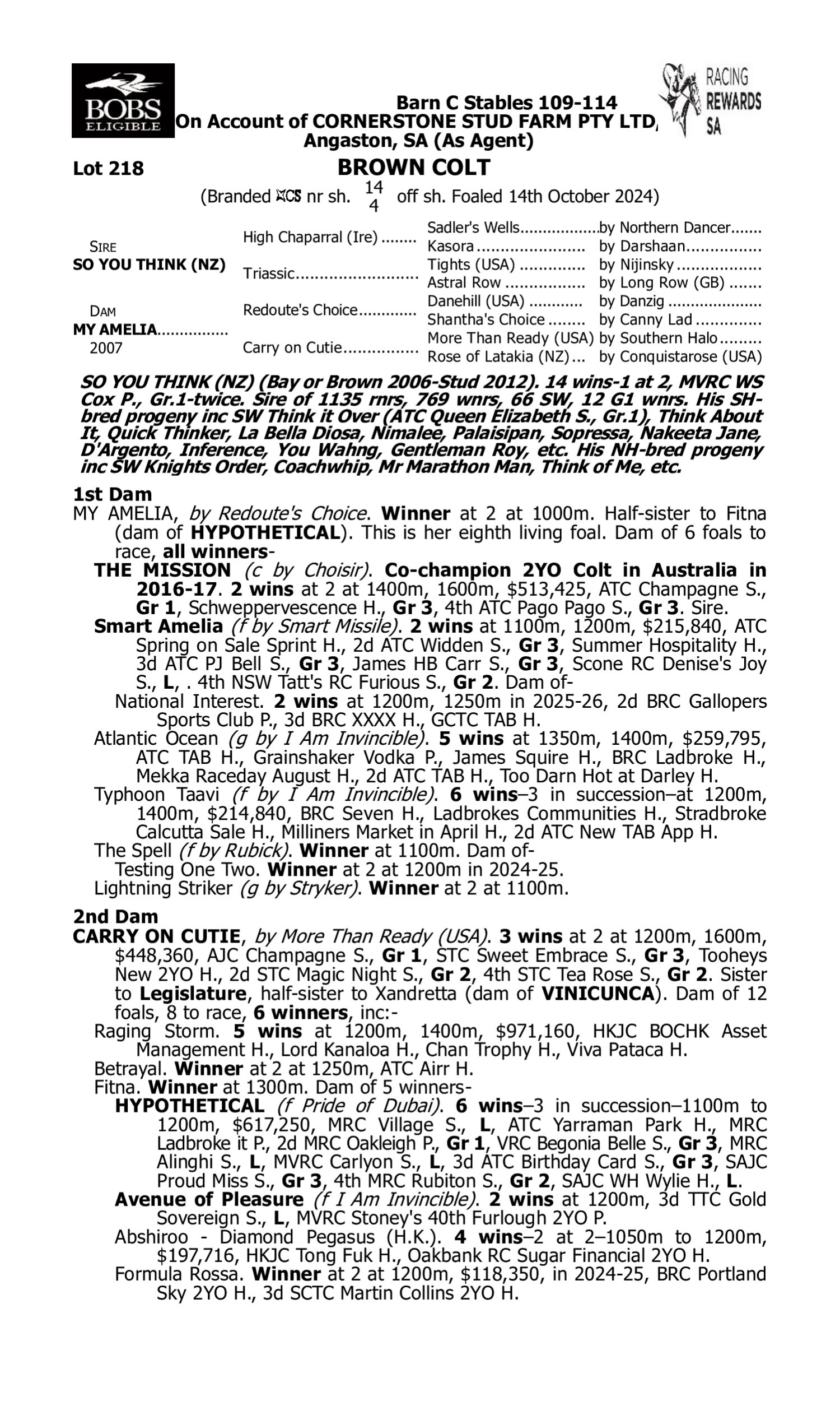 Pedigree for Lot 218 So You Think (NZ) - My Amelia