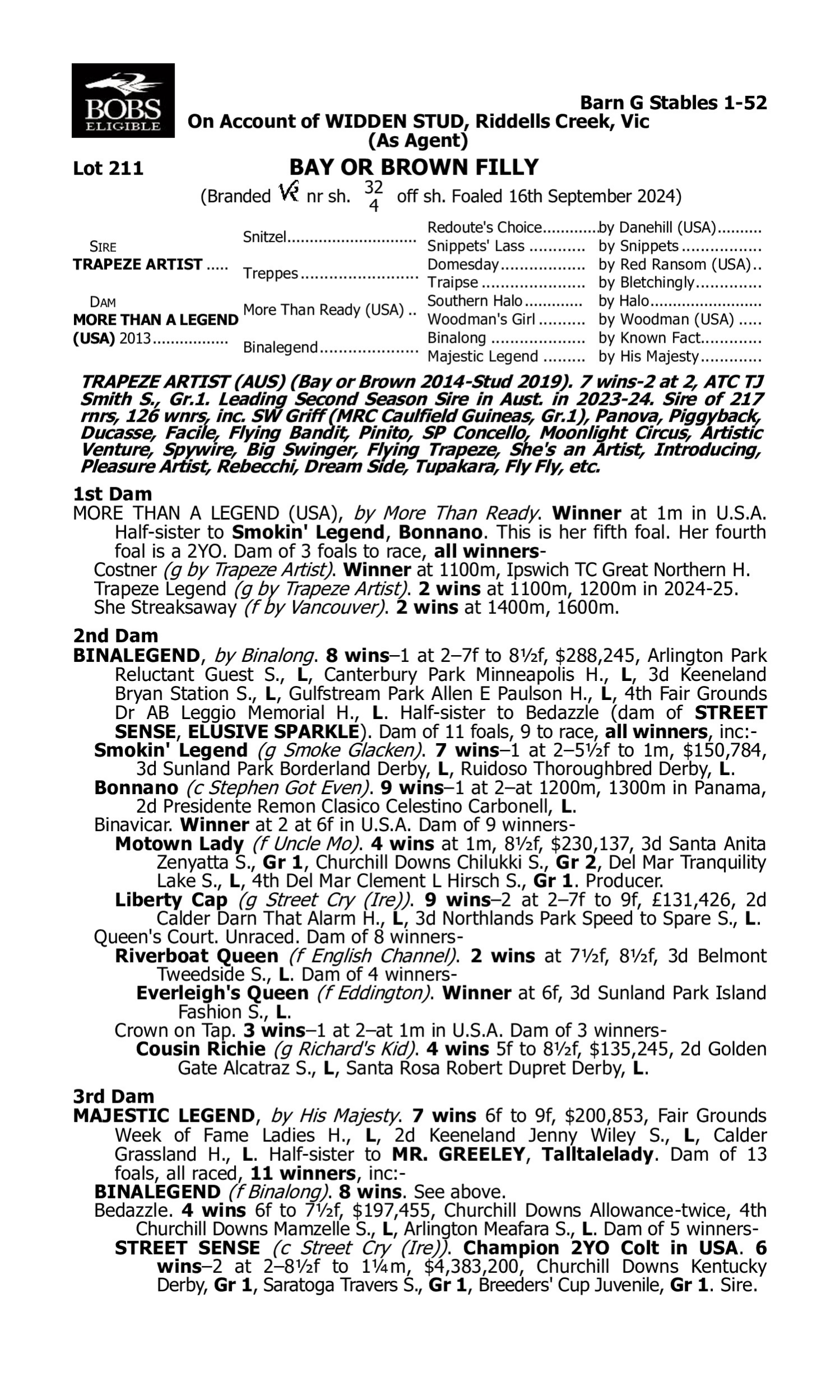 Pedigree for Lot 211 Trapeze Artist - More Than a Legend (USA)
