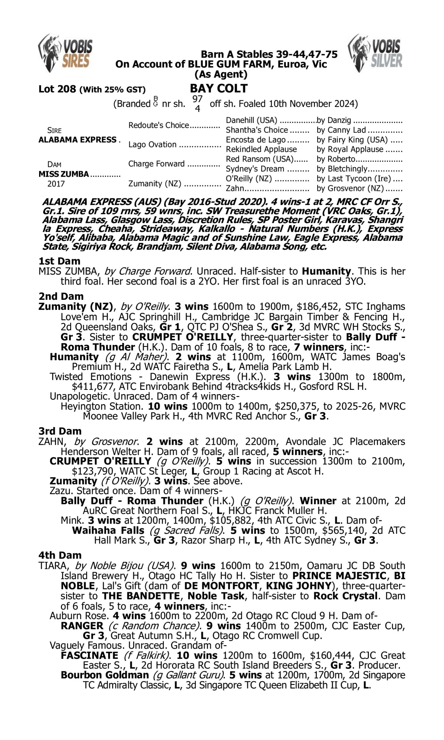 Pedigree for Lot 208 Alabama Express - Miss Zumba