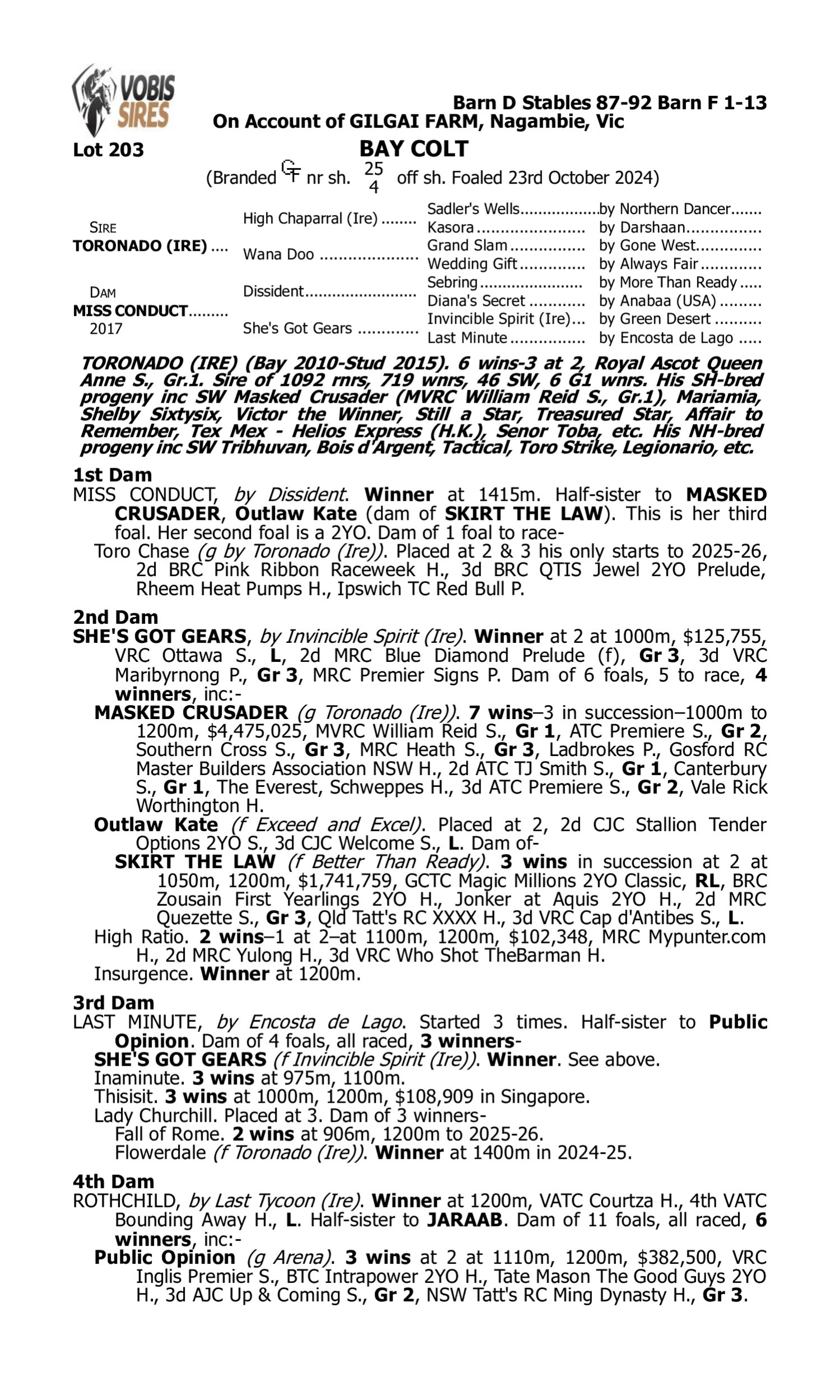 Pedigree for Lot 203 Toronado (IRE) - Miss Conduct