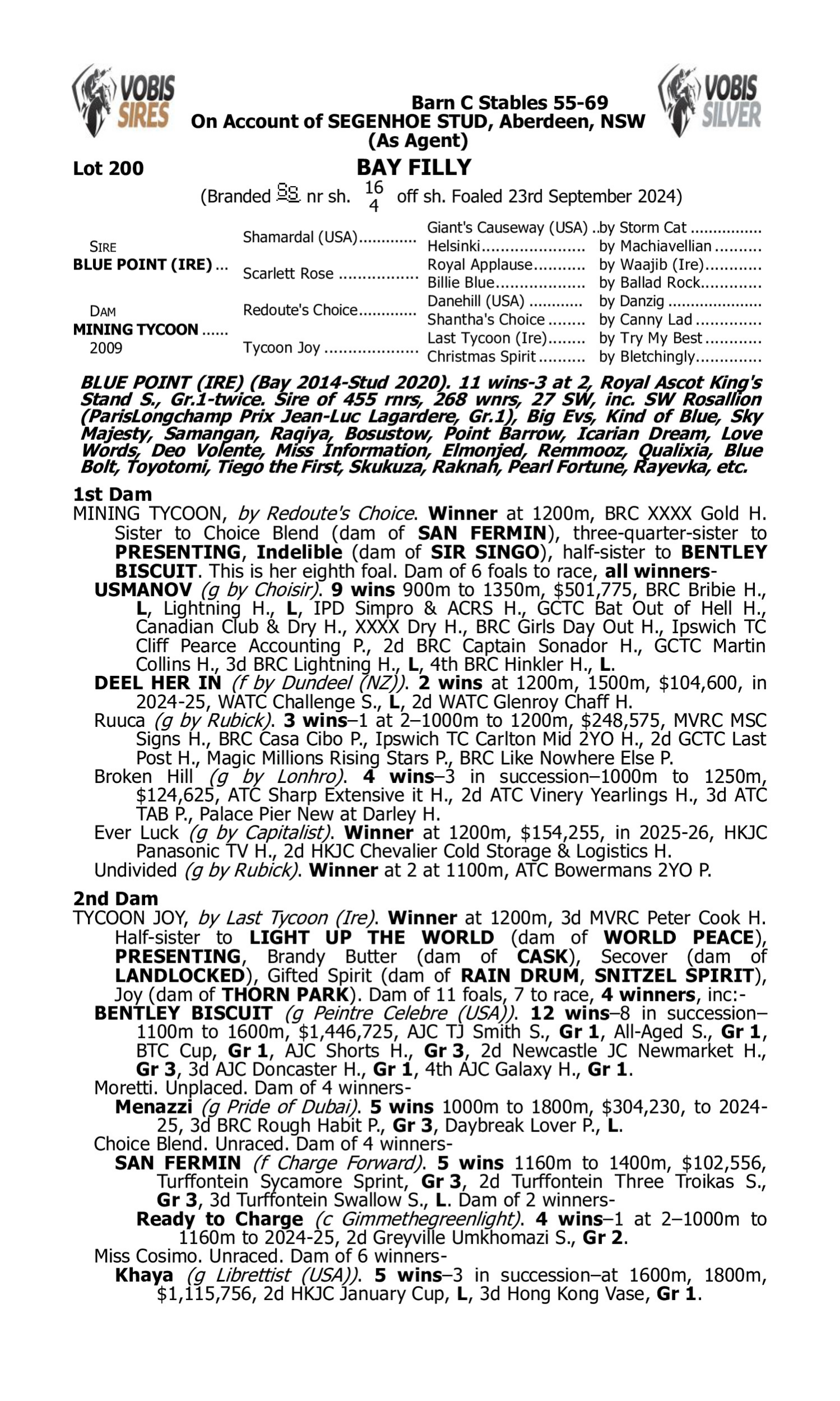 Pedigree for Lot 200 Blue Point (IRE) - Mining Tycoon