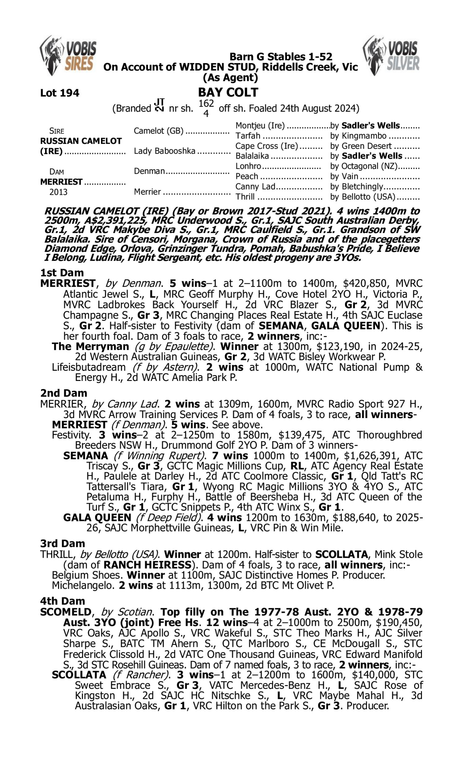 Pedigree for Lot 194 Russian Camelot (IRE) - Merriest
