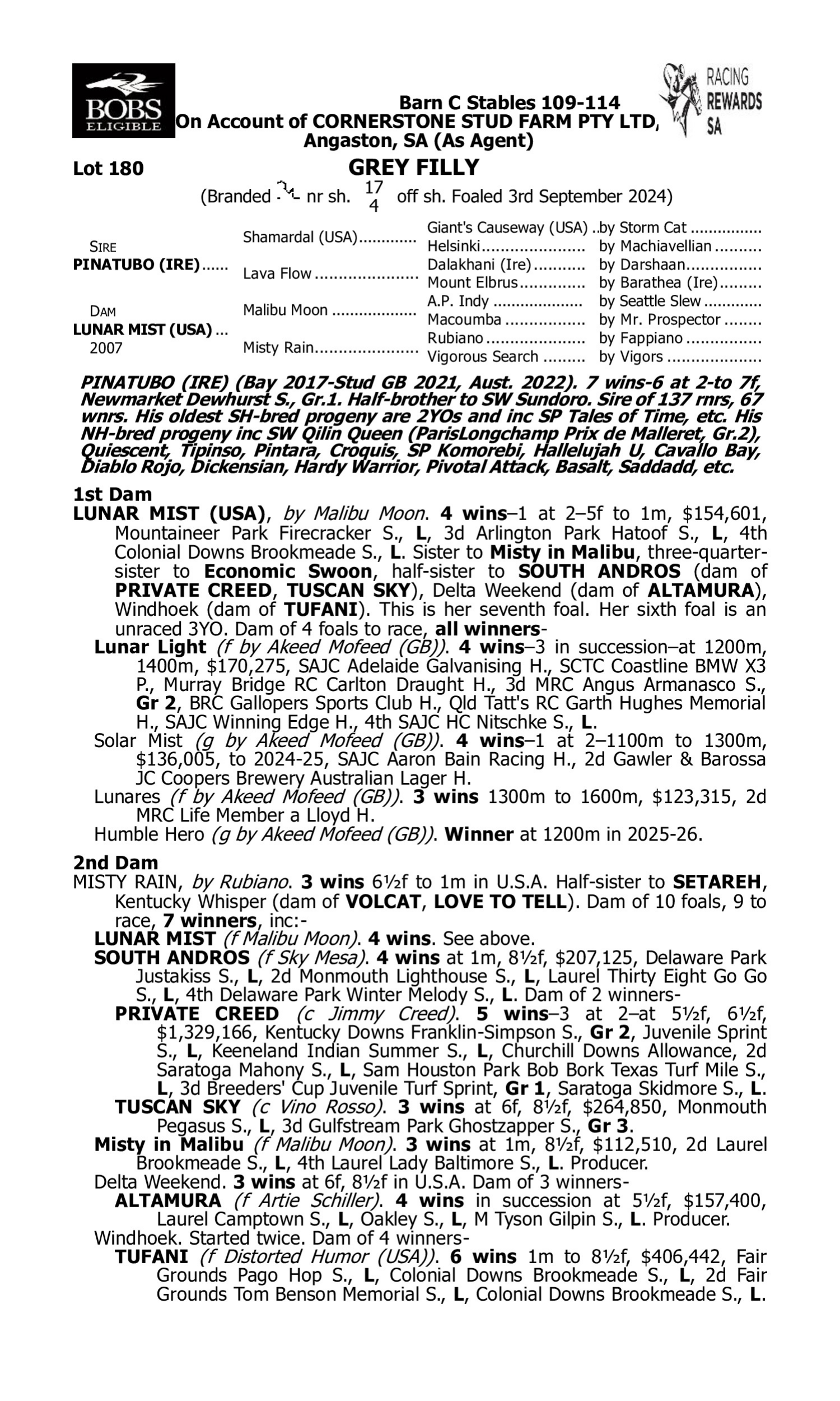 Pedigree for Lot 180 Pinatubo (IRE) - Lunar Mist (USA)