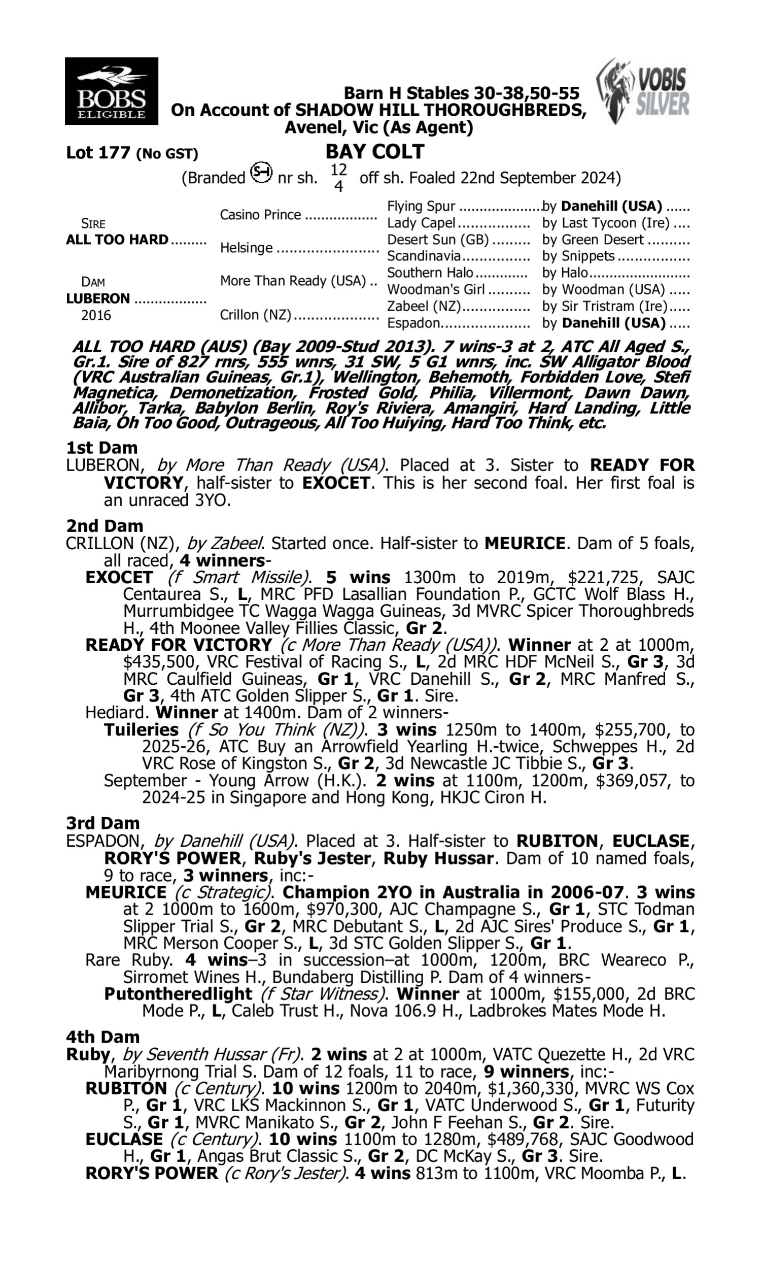 Pedigree for Lot 177 All Too Hard - Luberon