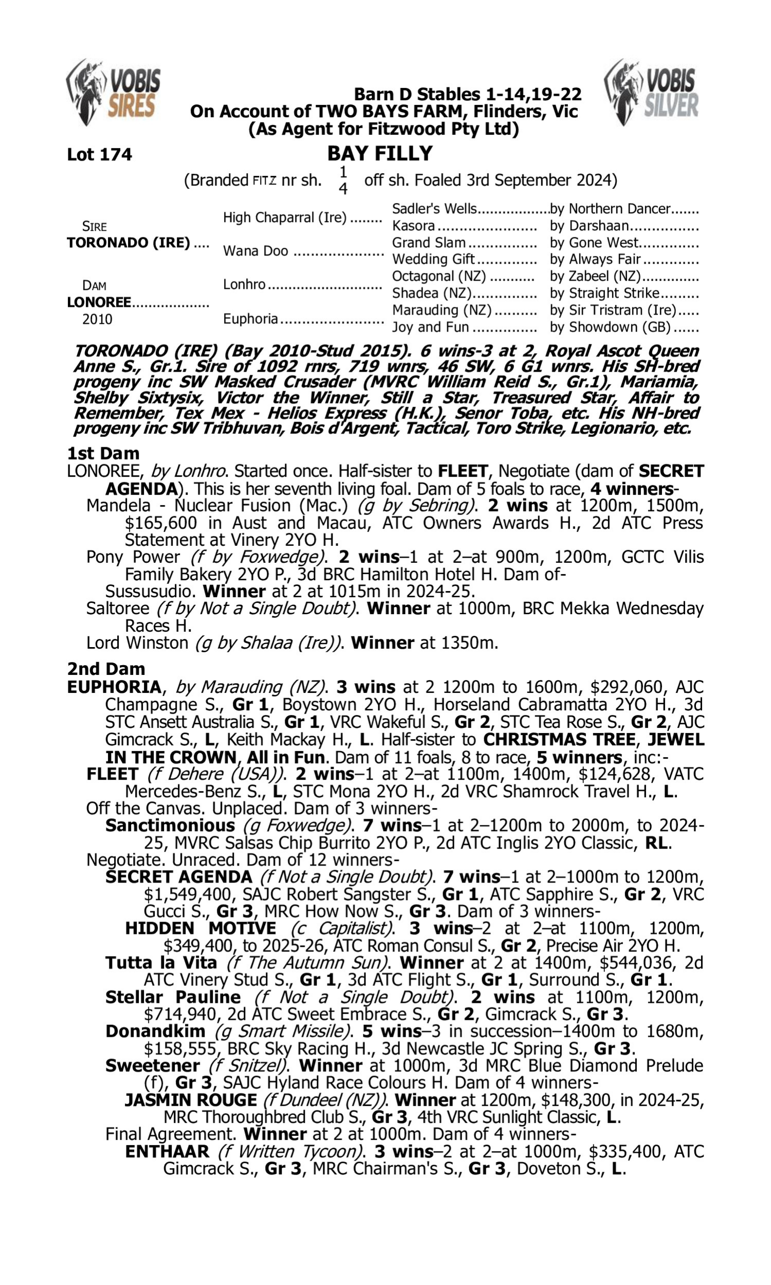 Pedigree for Lot 174 Toronado (IRE) - Lonoree