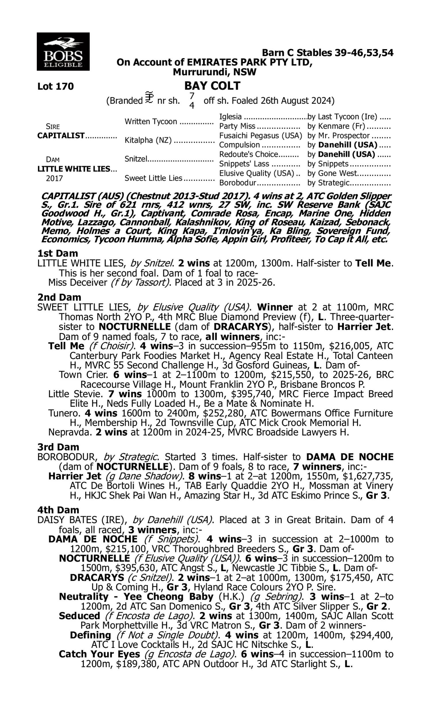 Pedigree for Lot 170 Capitalist - Little White Lies