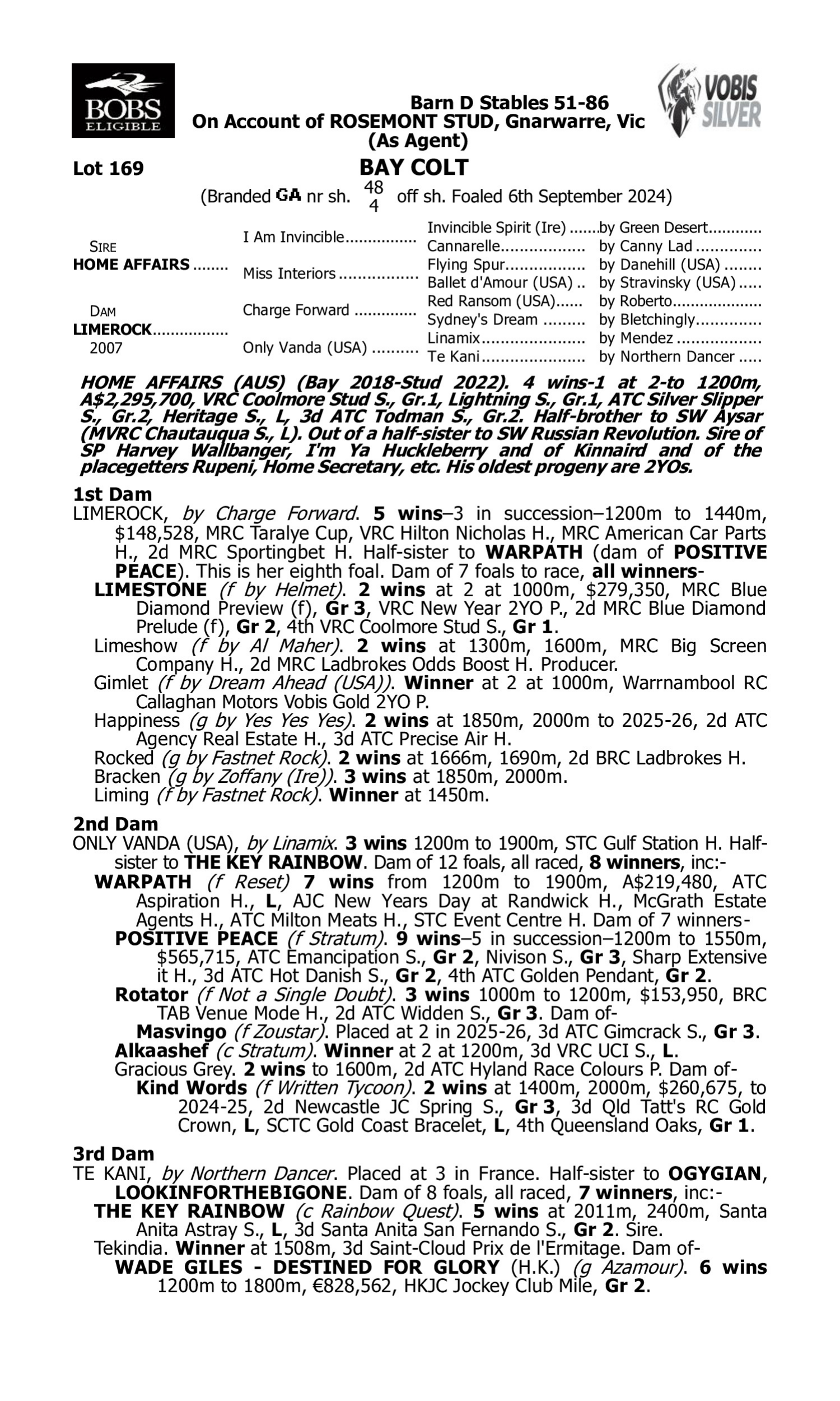 Pedigree for Lot 169 Home Affairs - Limerock