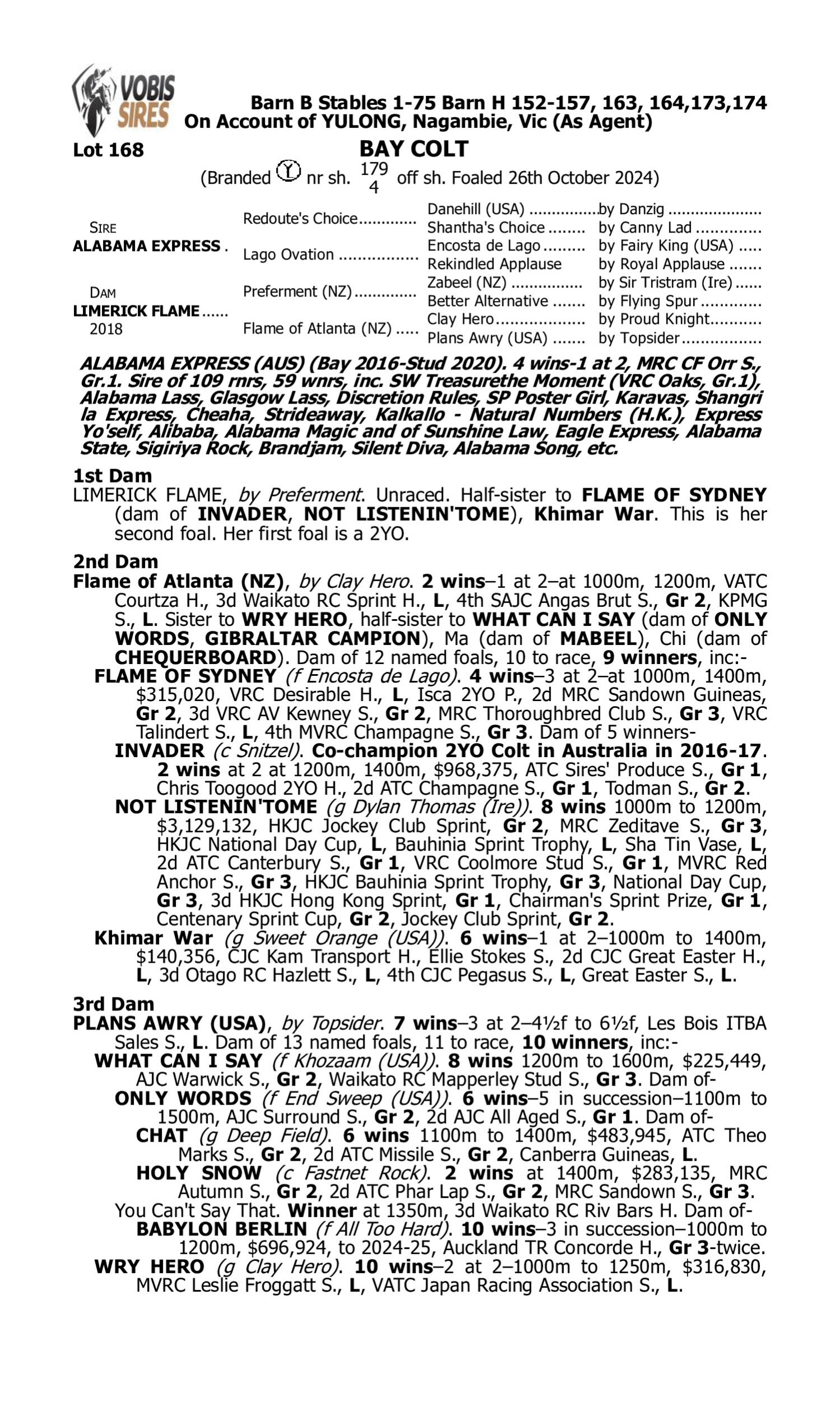 Pedigree for Lot 168 Alabama Express - Limerick Flame