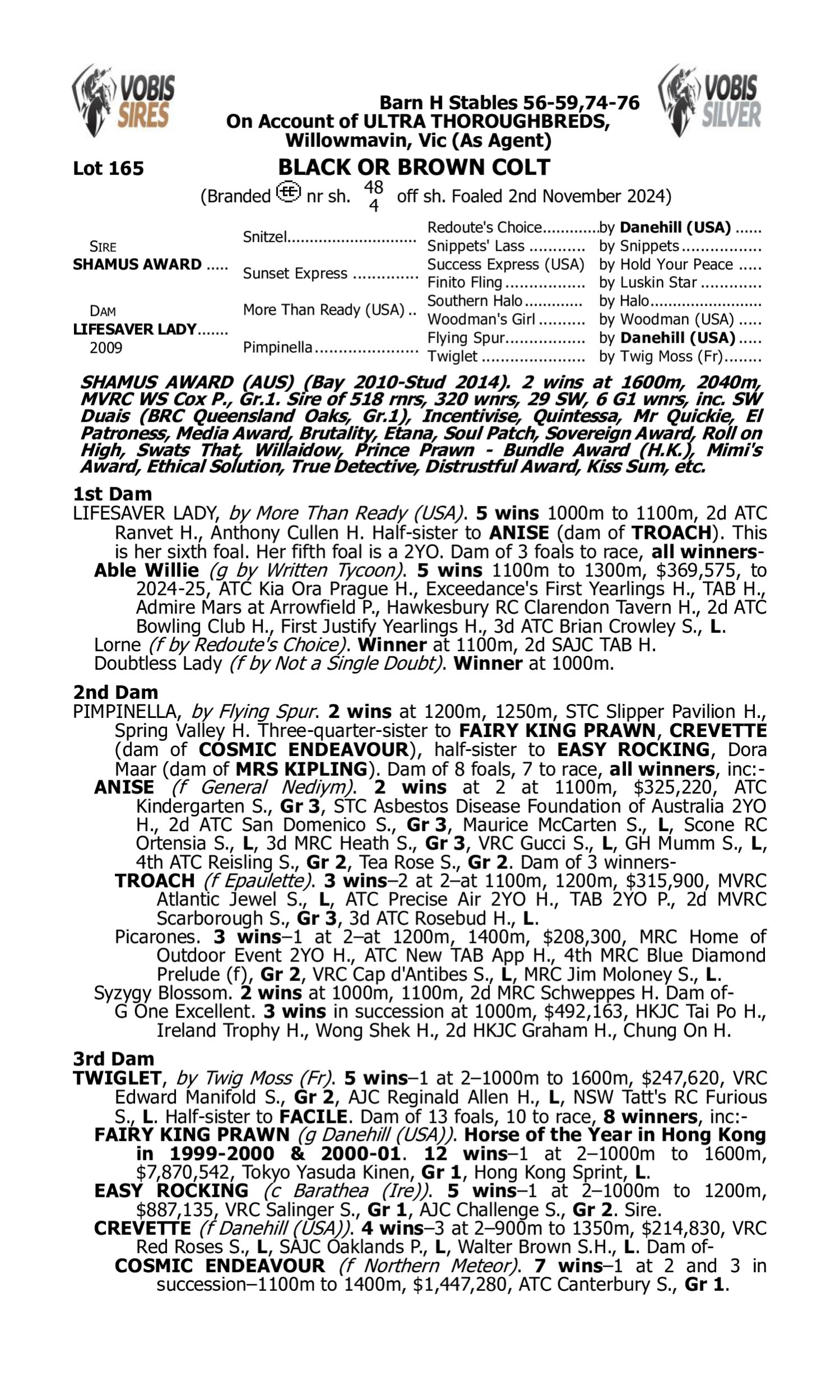 Pedigree for Lot 165 Shamus Award - Lifesaver Lady