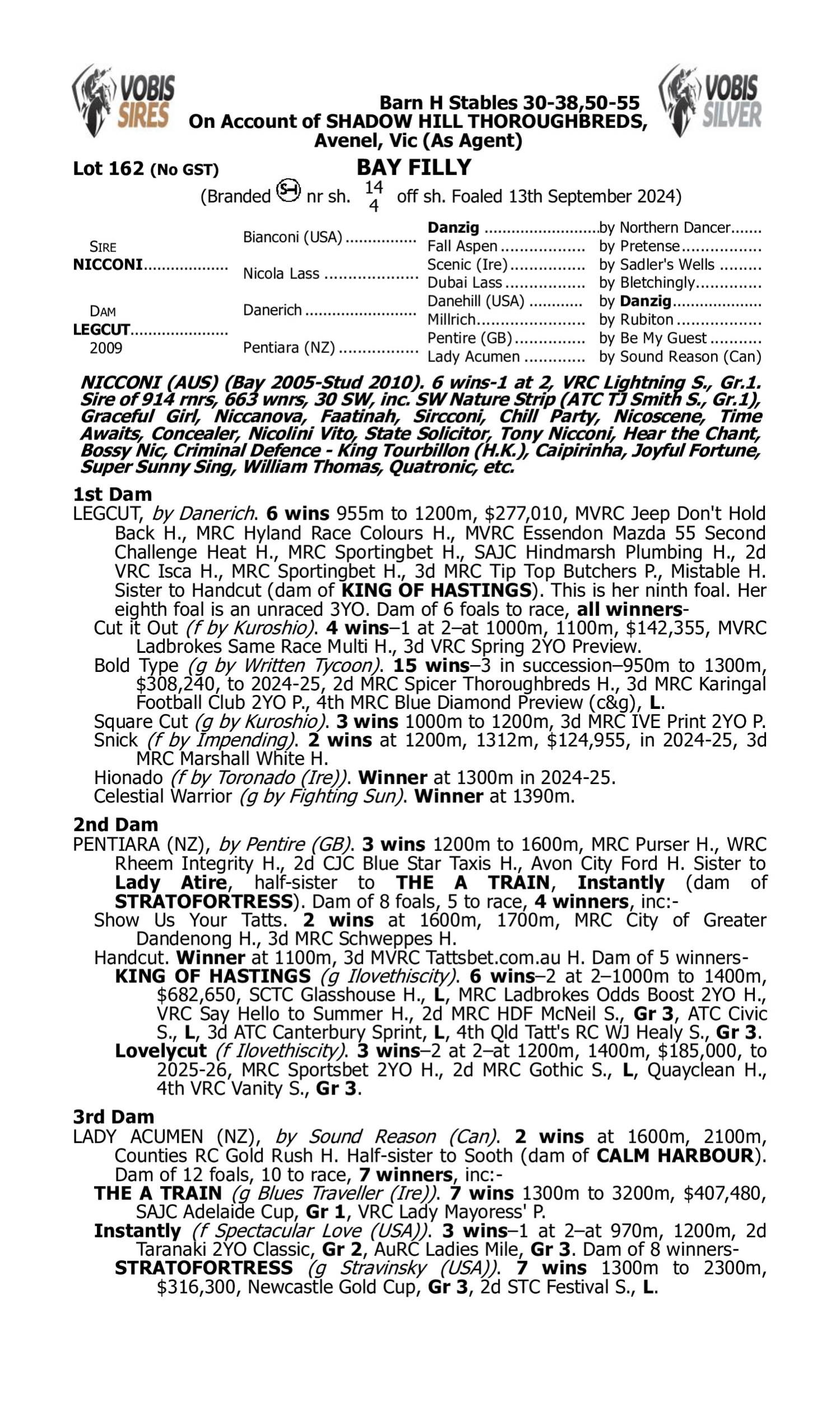 Pedigree for Lot 162 Nicconi - Legcut