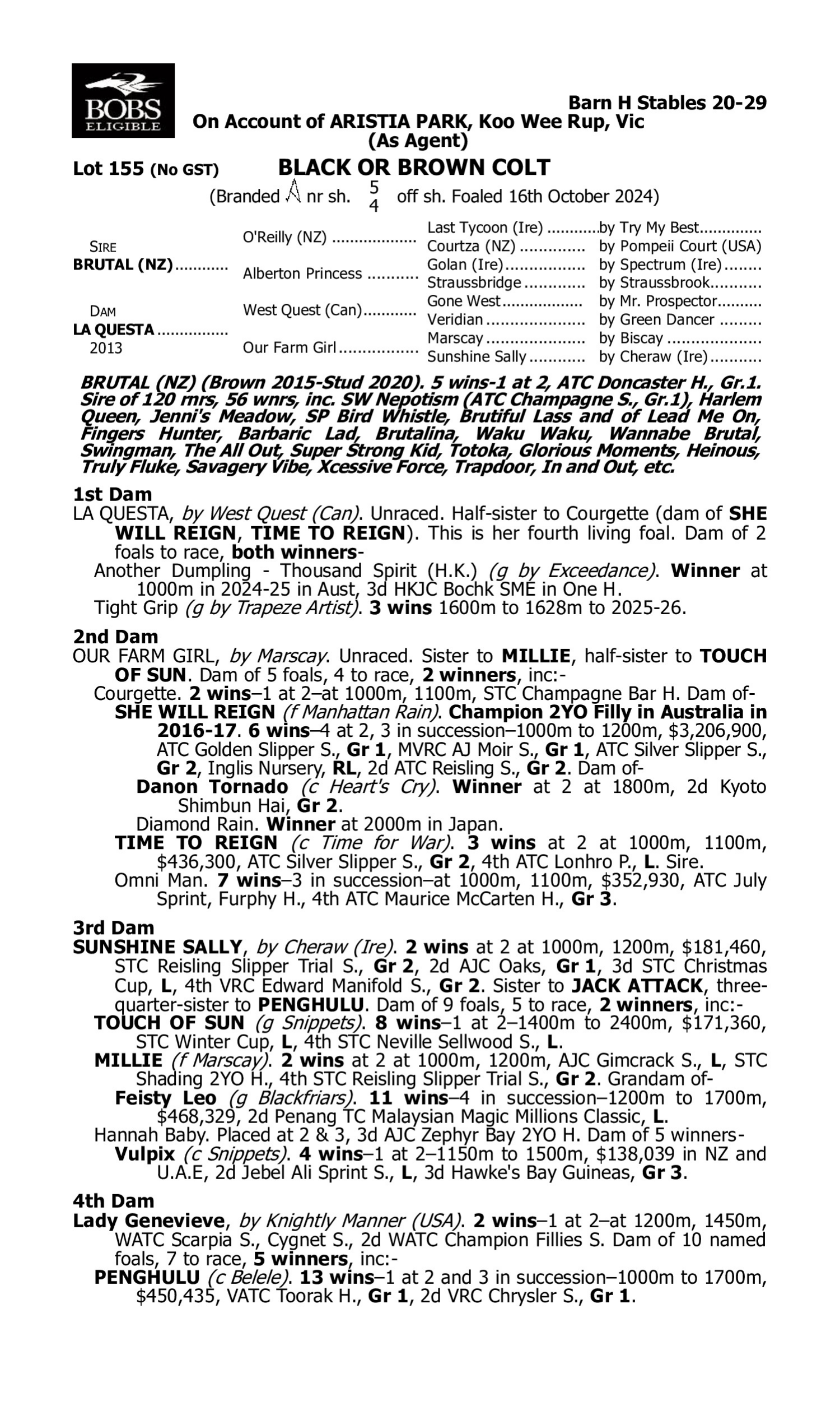 Pedigree for Lot 155 Brutal (NZ) - La Questa
