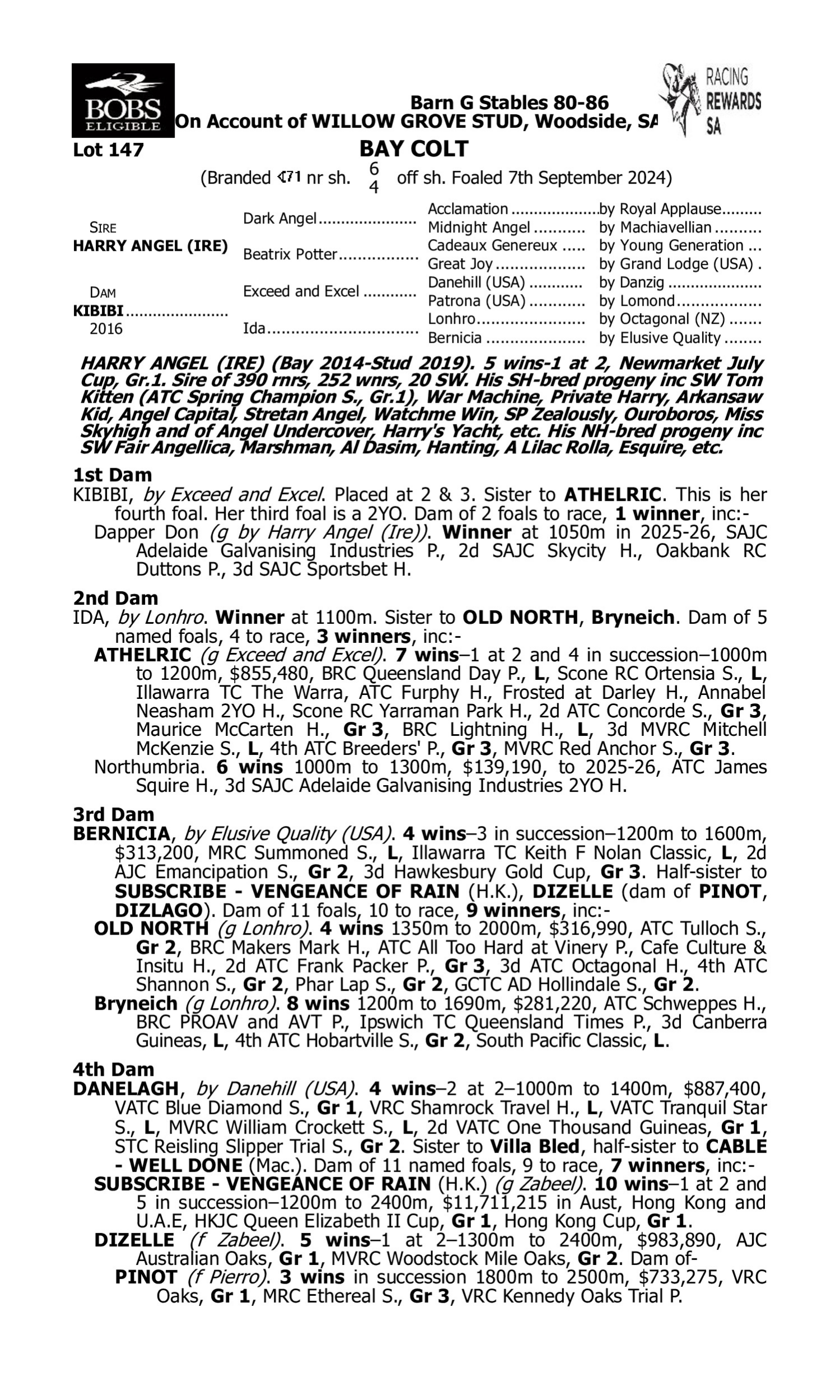 Pedigree for Lot 147 Harry Angel (IRE) - Kibibi