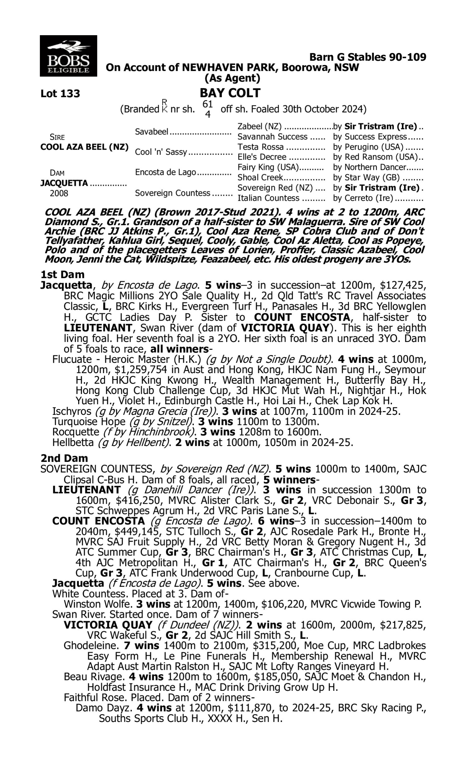 Pedigree for Lot 133 Cool Aza Beel (NZ) - Jacquetta