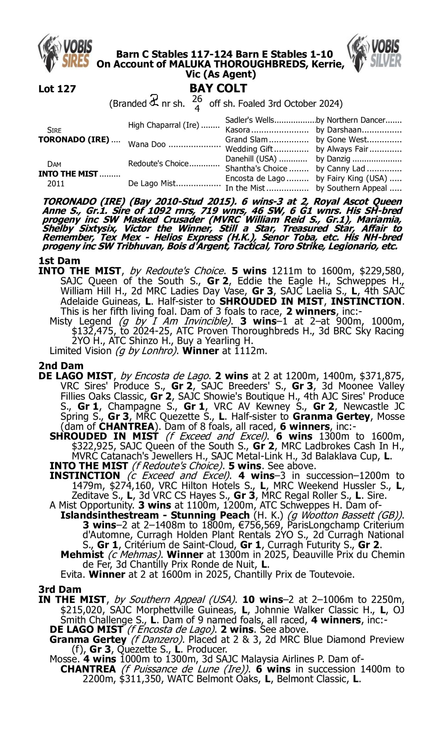 Pedigree for Lot 127 Toronado (IRE) - Into the Mist