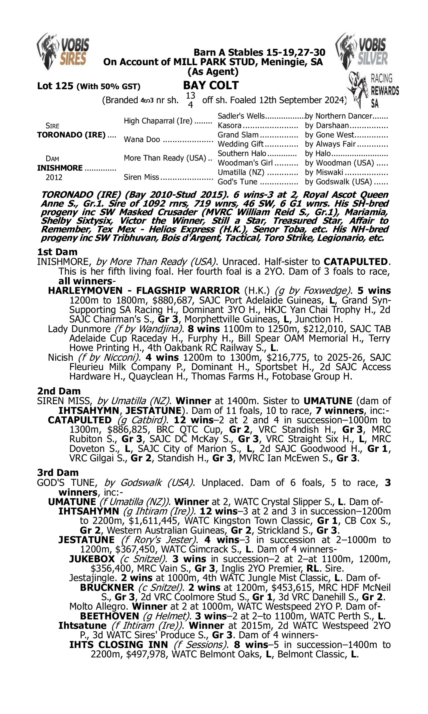 Pedigree for Lot 125 Toronado (IRE) - Inishmore