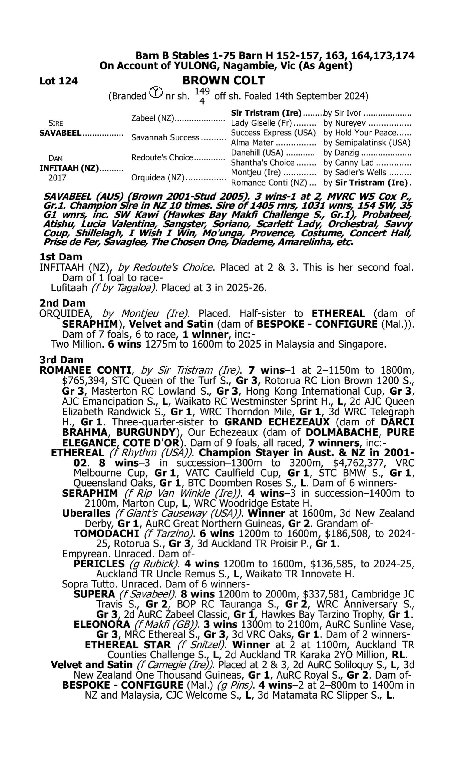 Pedigree for Lot 124 Savabeel - Infitaah (NZ)