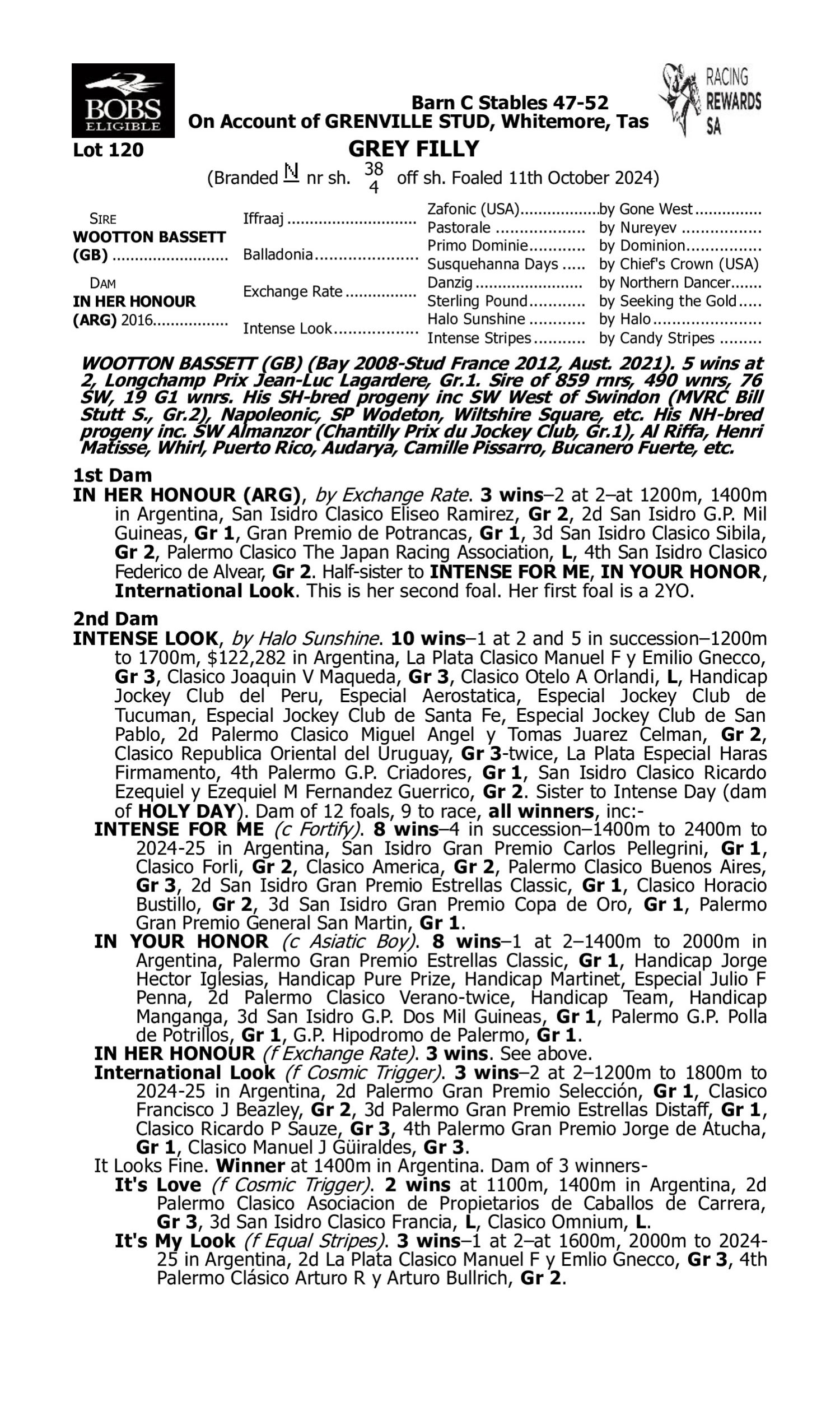 Pedigree for Lot 120 Wootton Bassett (GB) - In Her Honour (ARG)