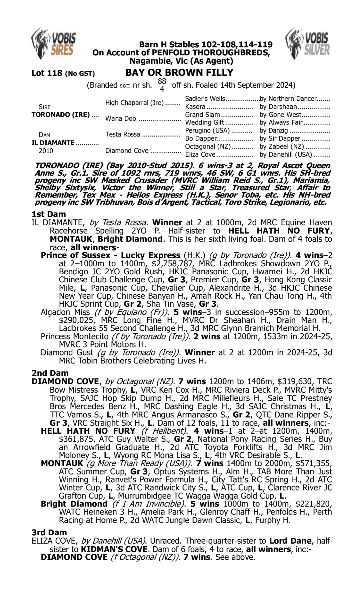 Pedigree for Lot 118 Toronado (IRE) - Il Diamante