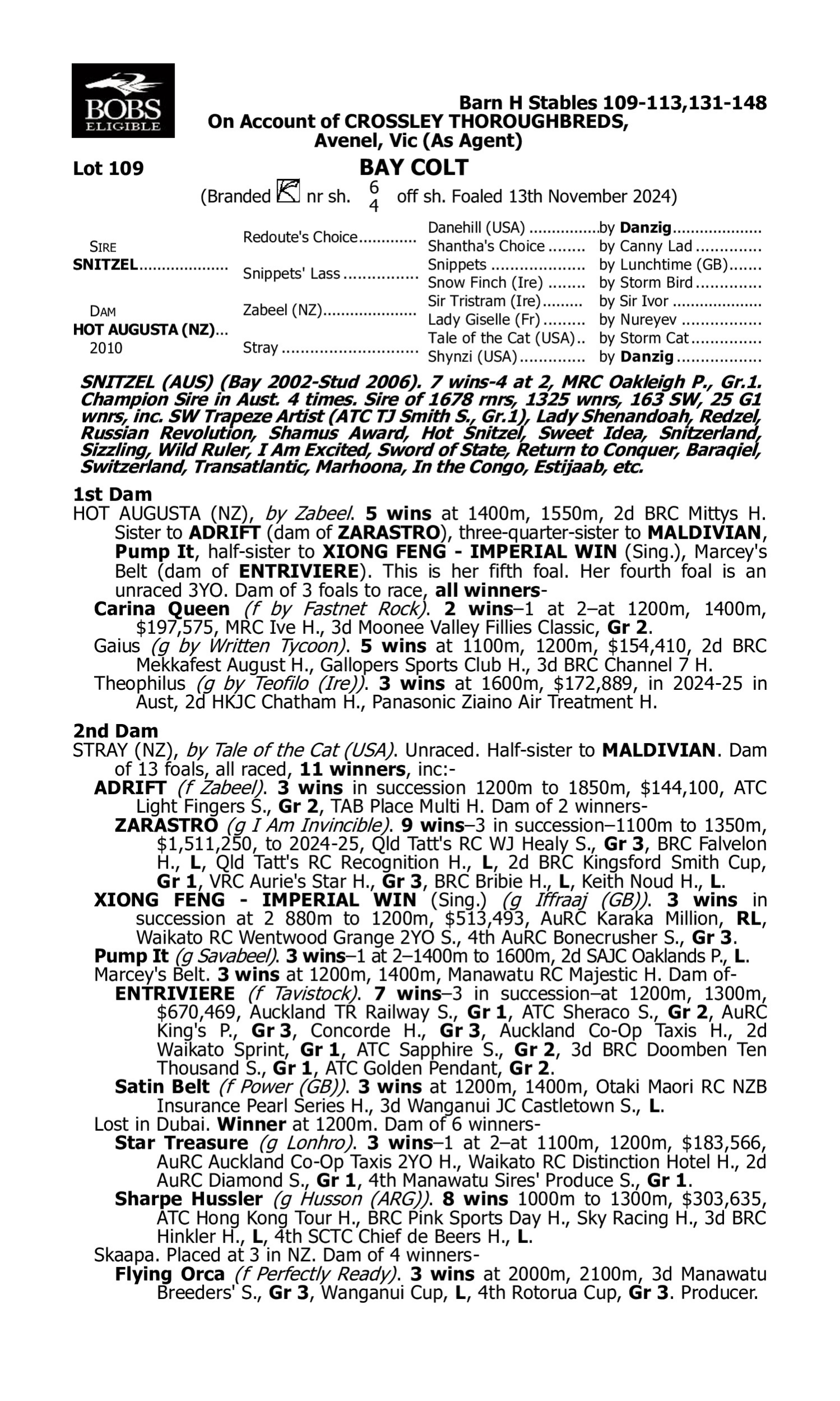 Pedigree for Lot 109 Snitzel - Hot Augusta (NZ)