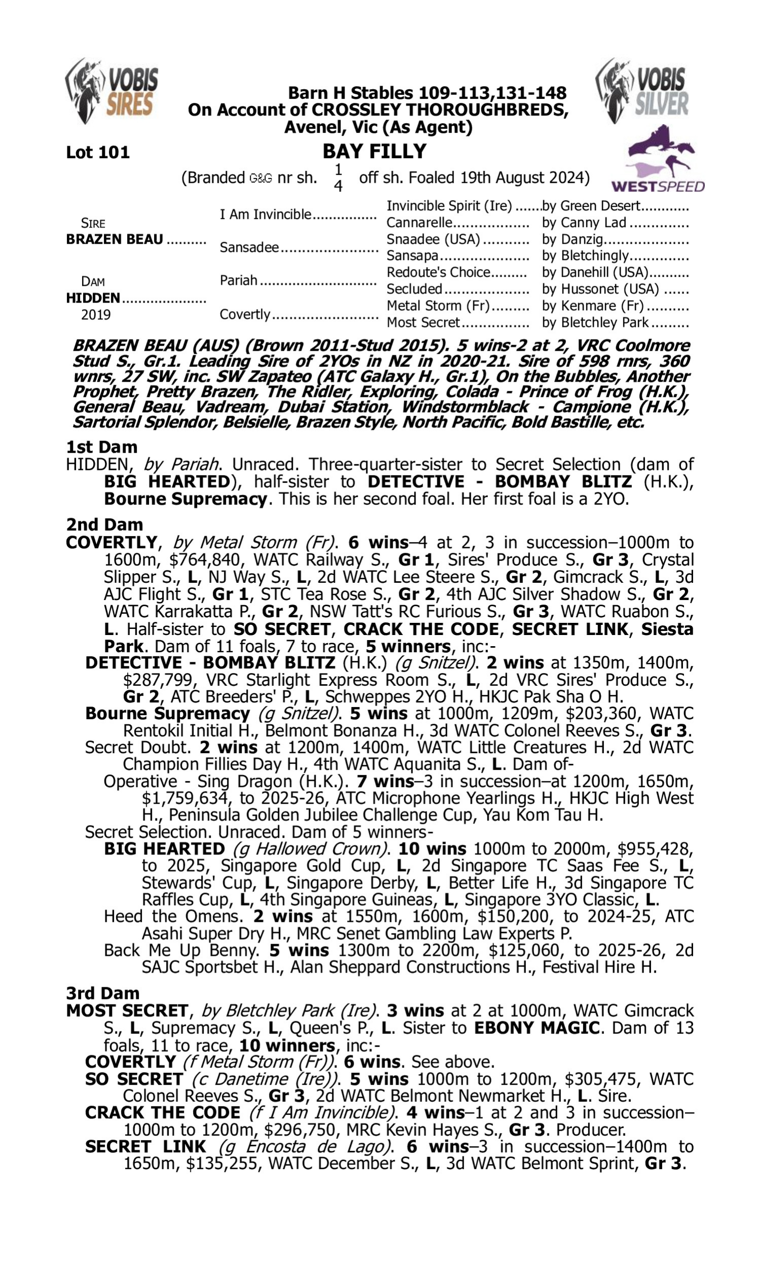 Pedigree for Lot 101 Brazen Beau - Hidden