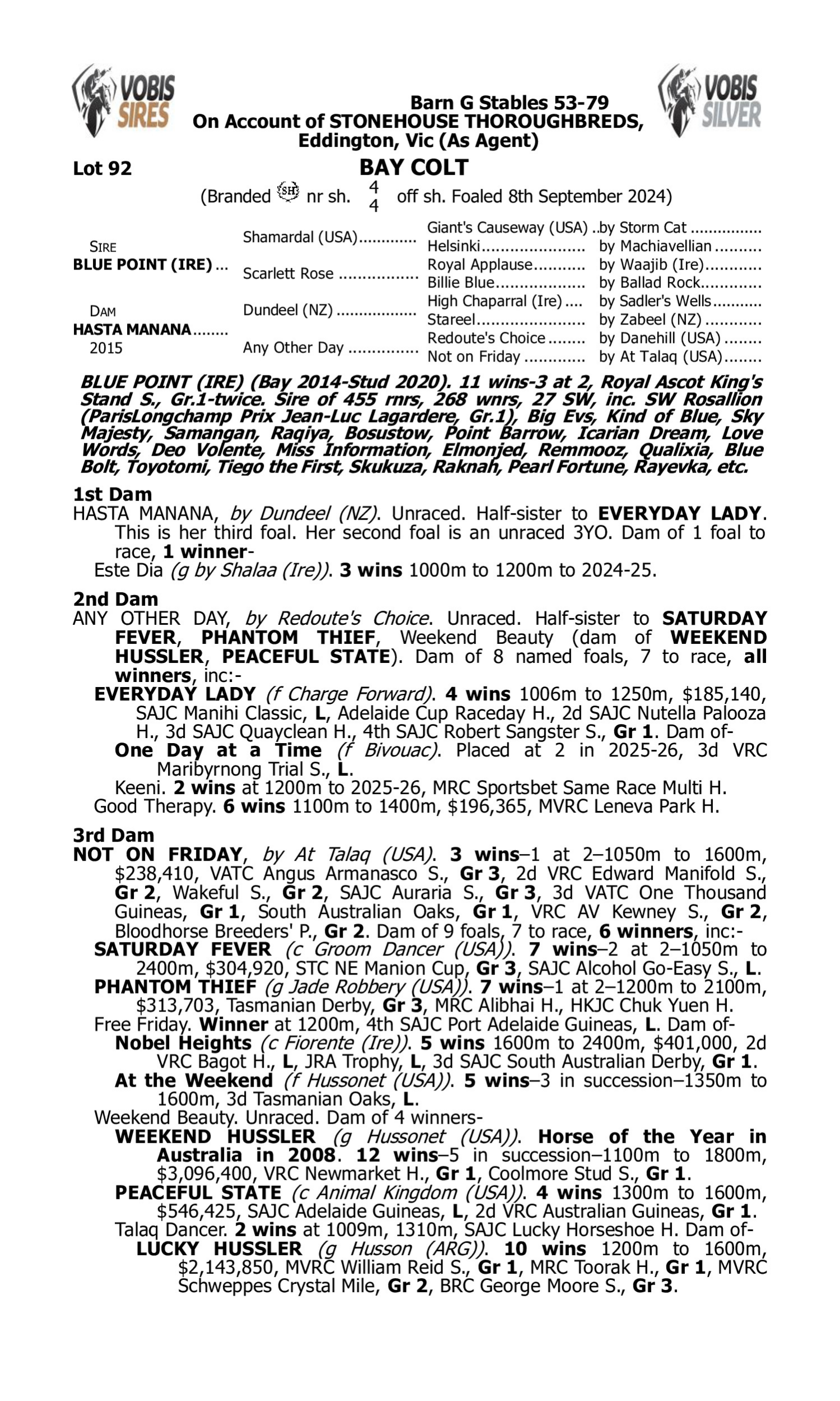 Pedigree for Lot 92 Blue Point (IRE) - Hasta Manana