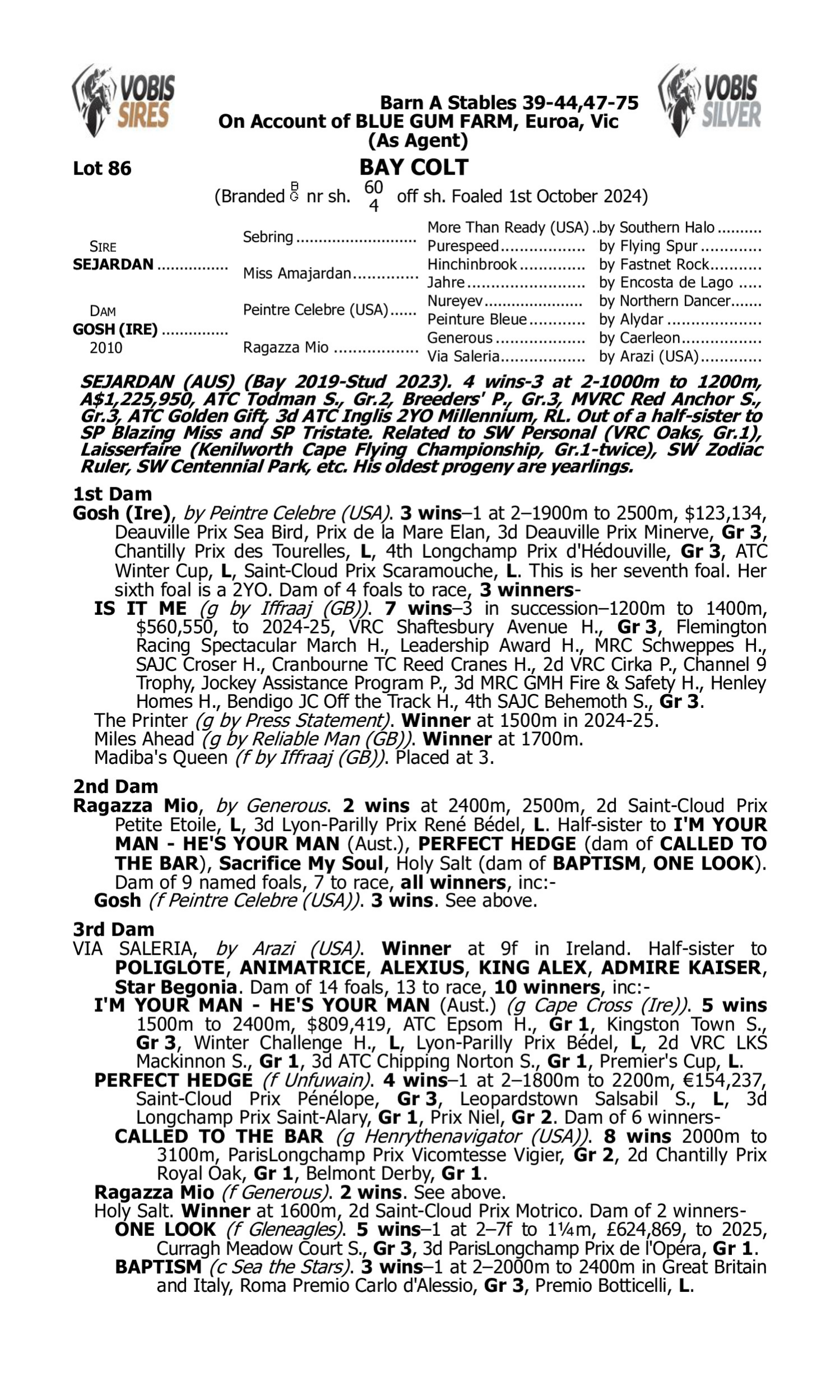 Pedigree for Lot 86 Sejardan - Gosh (IRE)