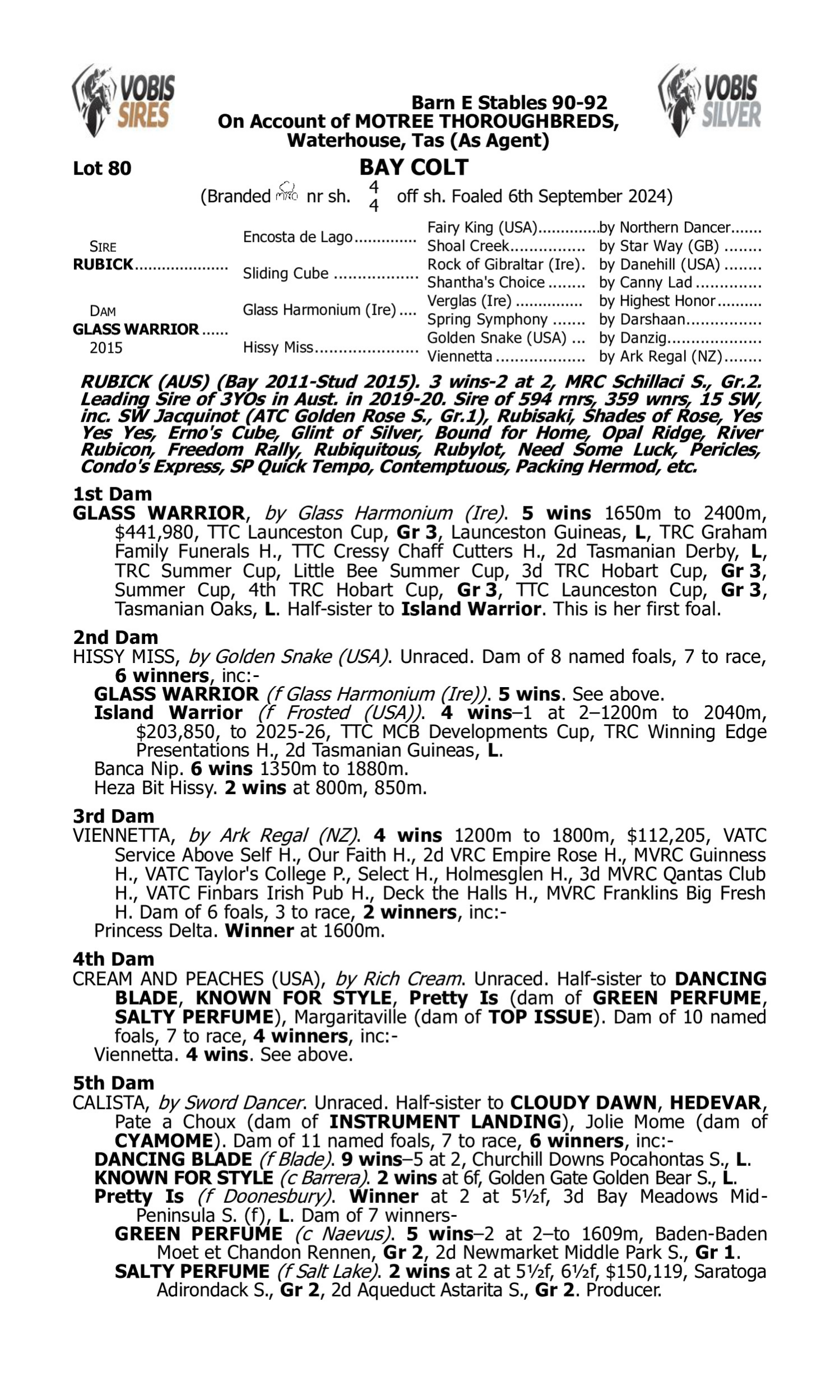 Pedigree for Lot 80 Rubick - Glass Warrior