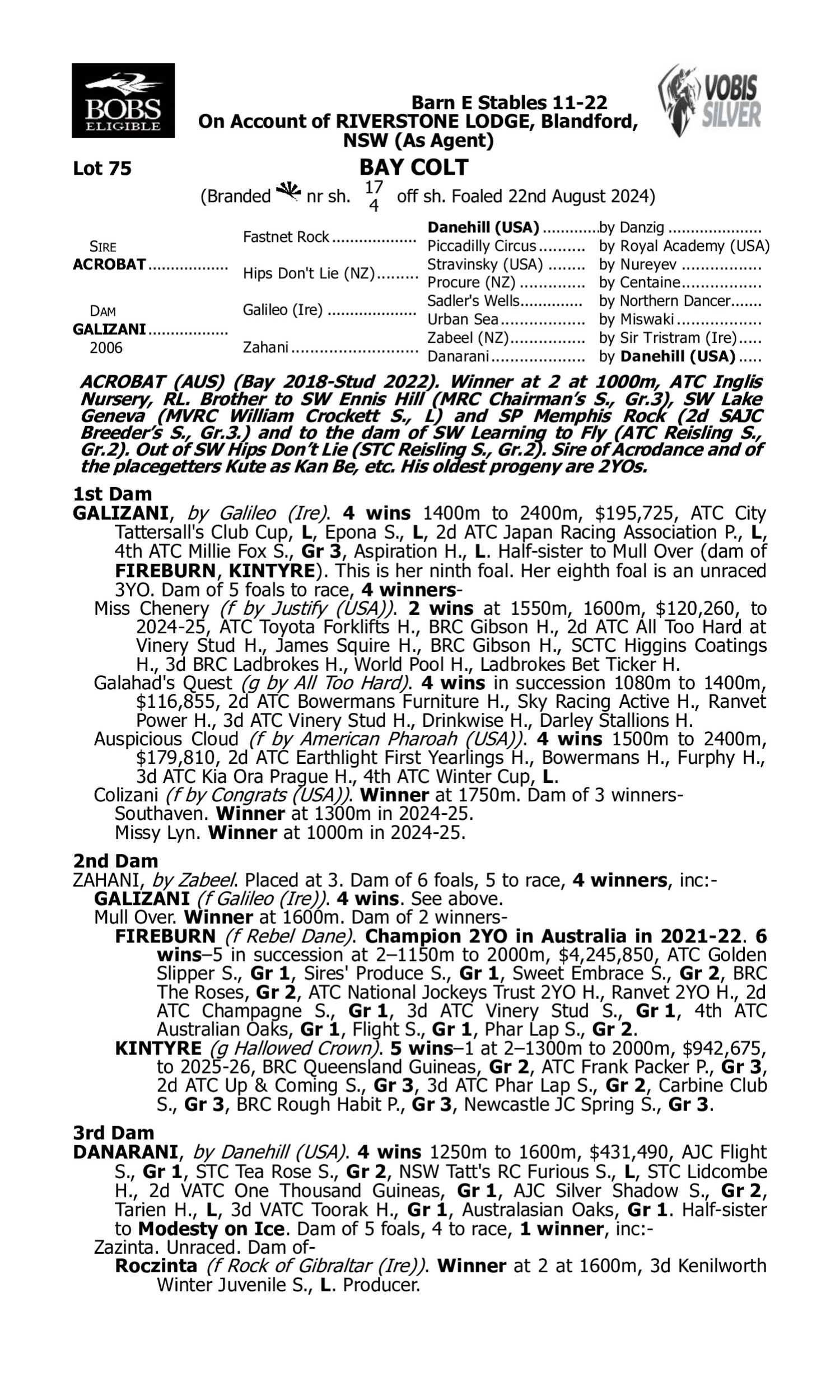 Pedigree for Lot 75 Acrobat - Galizani