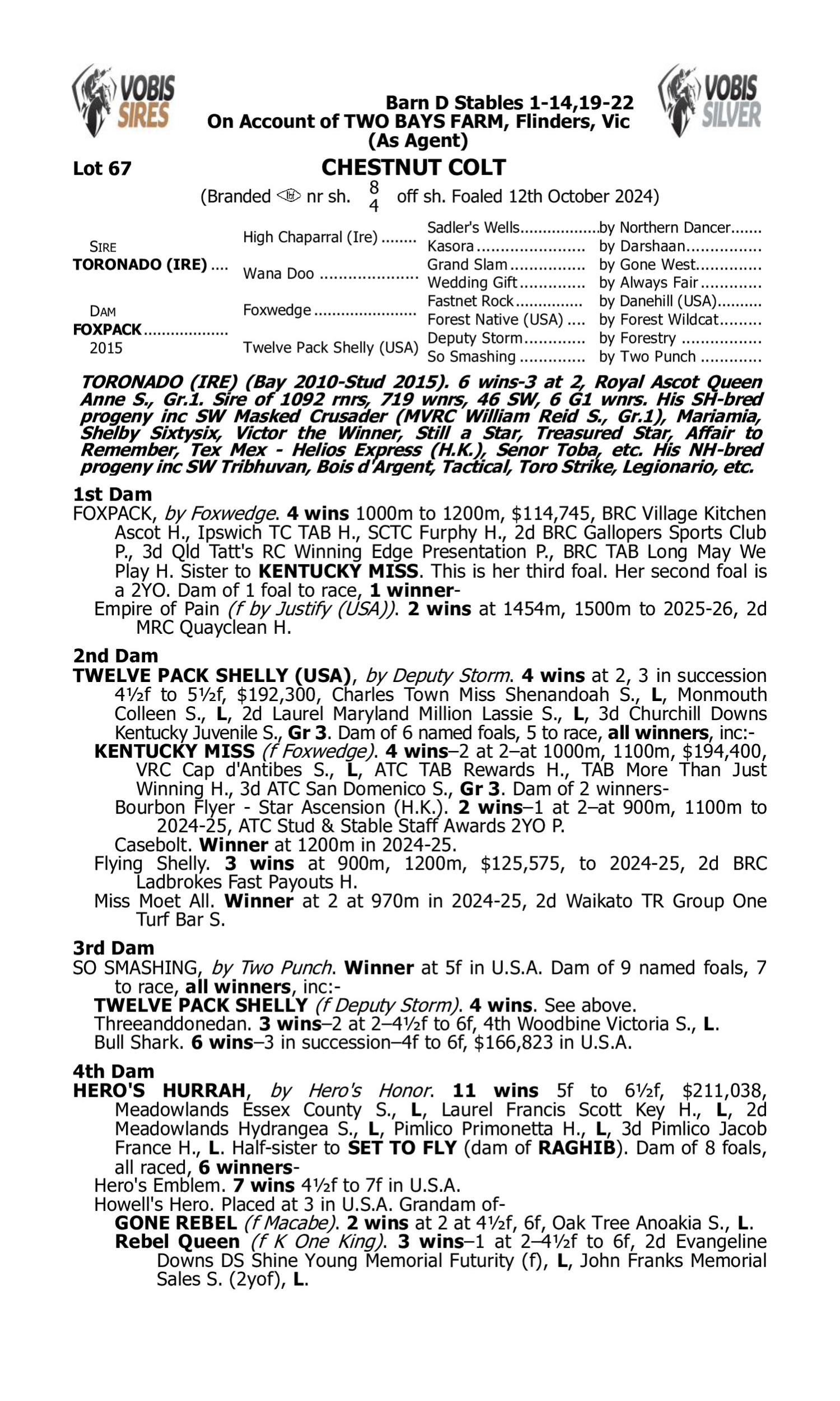 Pedigree for Lot 67 Toronado (IRE) - Foxpack