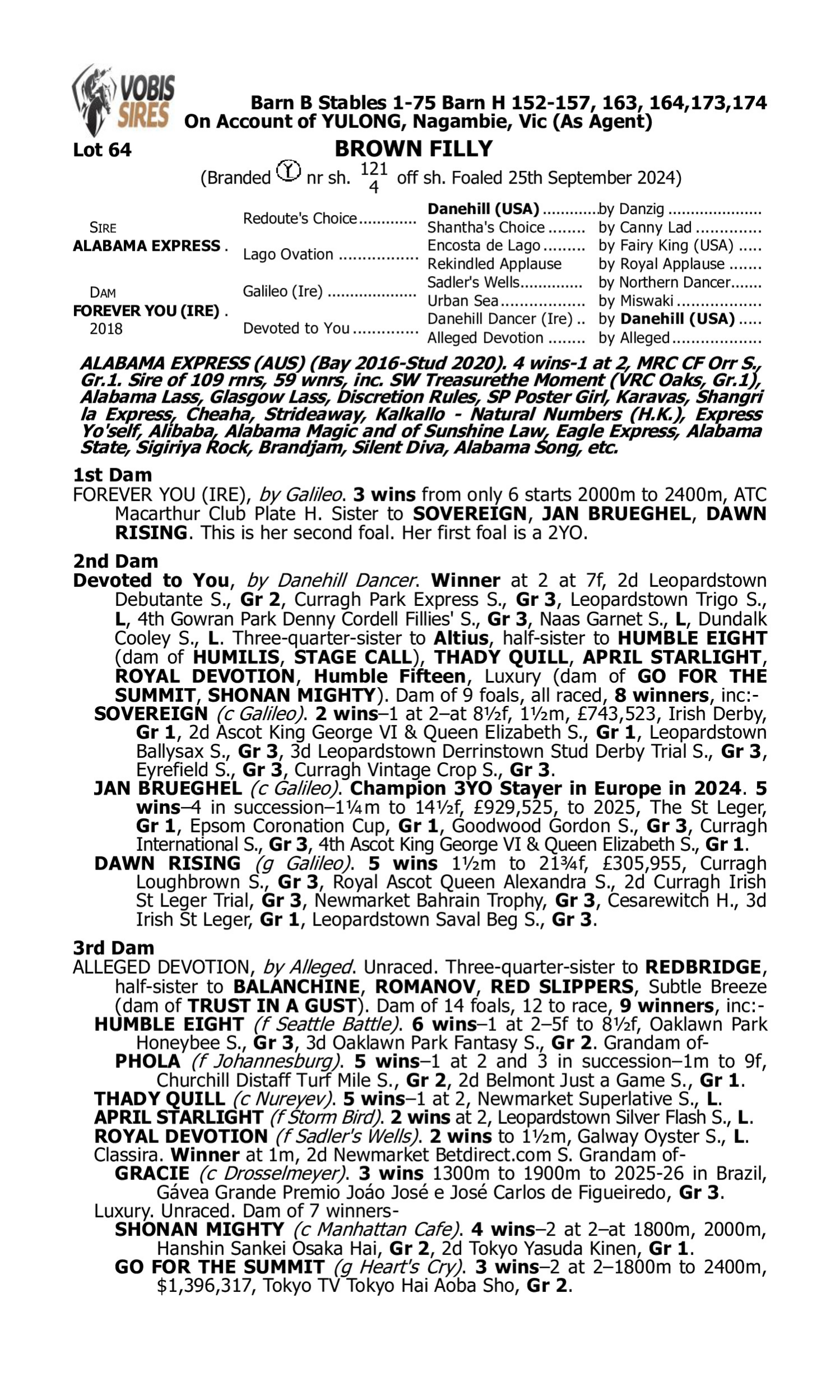 Pedigree for Lot 64 Alabama Express - Forever You (IRE)