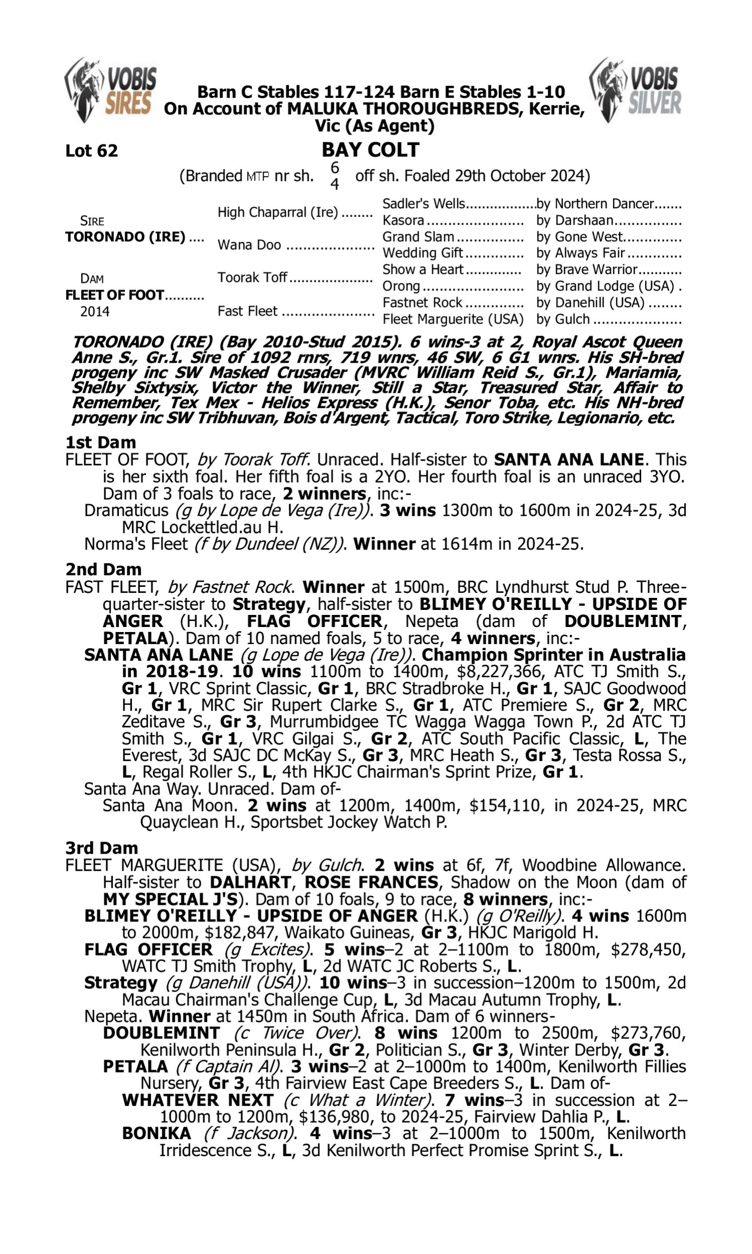 Pedigree for Lot 62 Toronado (IRE) - Fleet of Foot