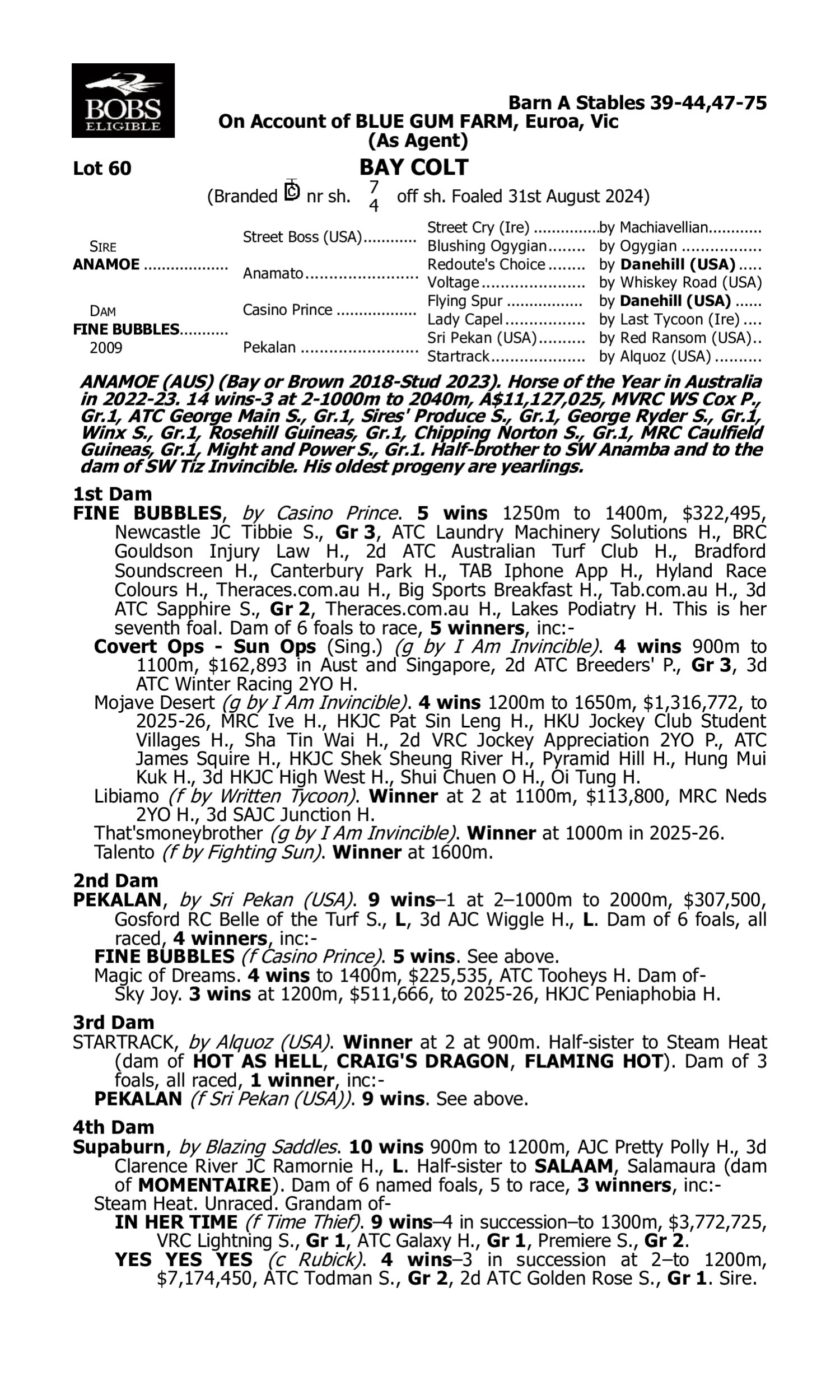 Pedigree for Lot 60 Anamoe - Fine Bubbles