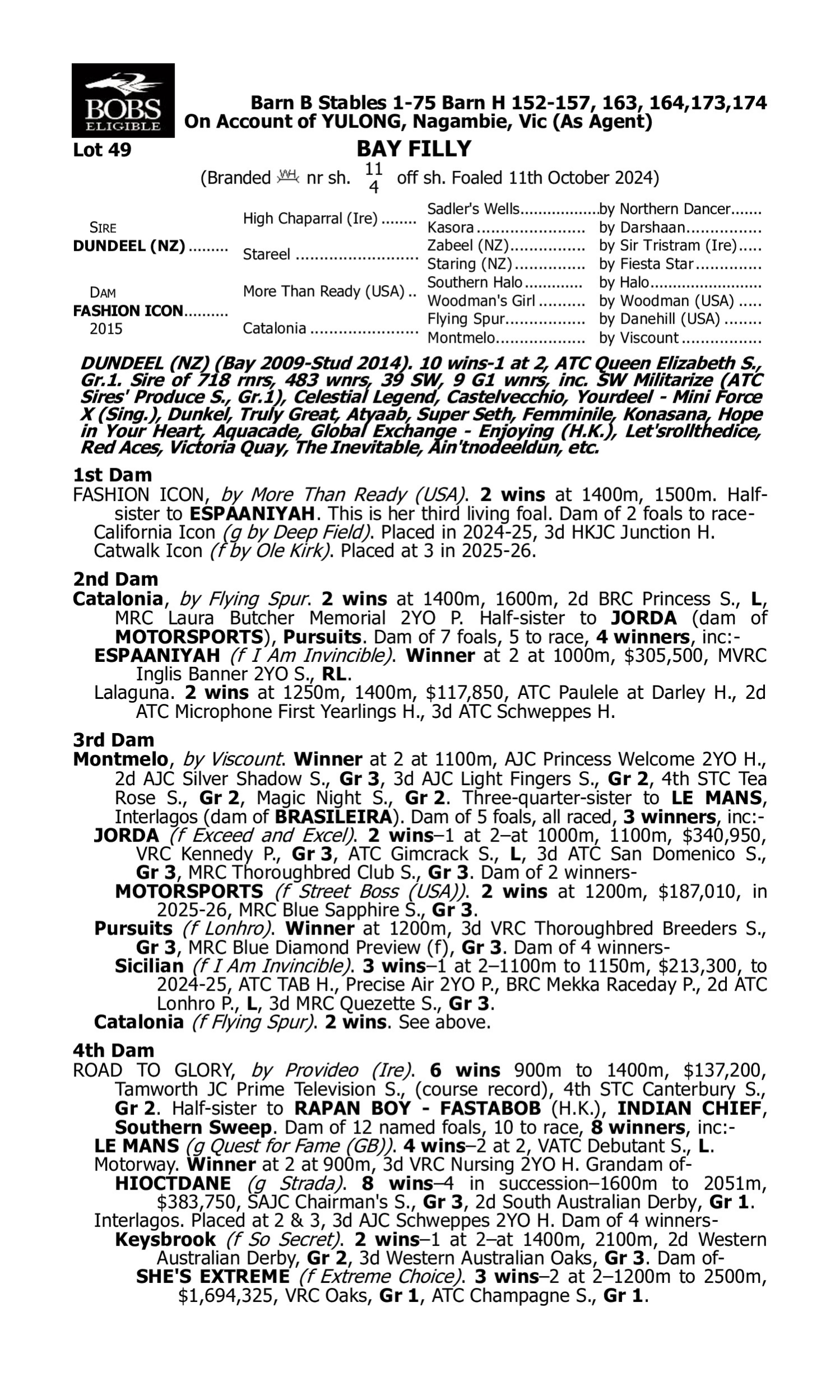 Pedigree for Lot 49 Dundeel (NZ) - Fashion Icon