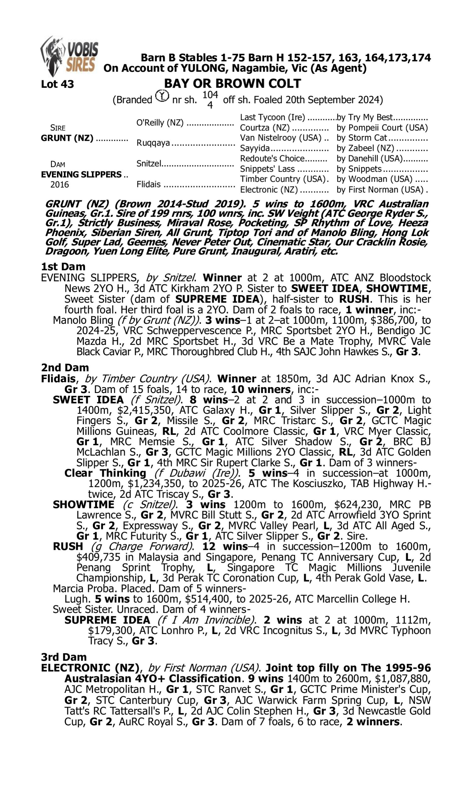 Pedigree for Lot 43 Grunt (NZ) - Evening Slippers