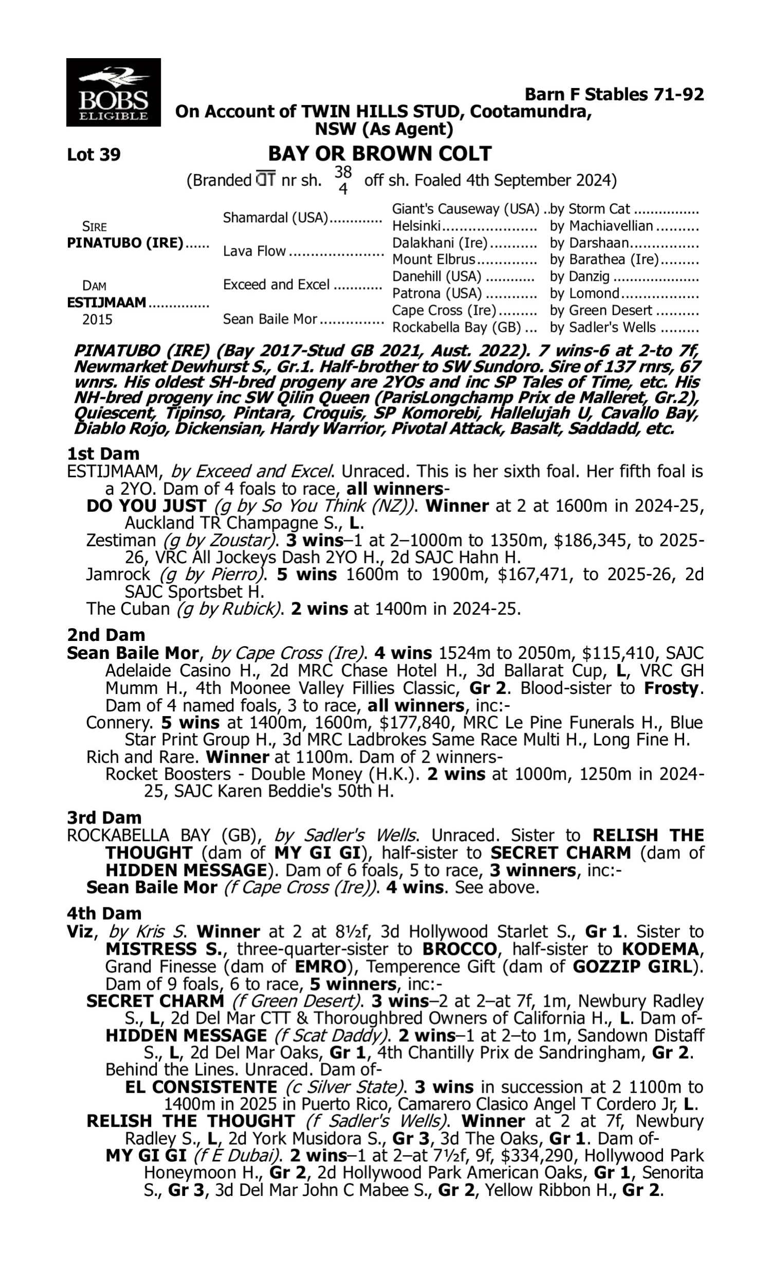 Pedigree for Lot 39 Pinatubo (IRE) - Estijmaam