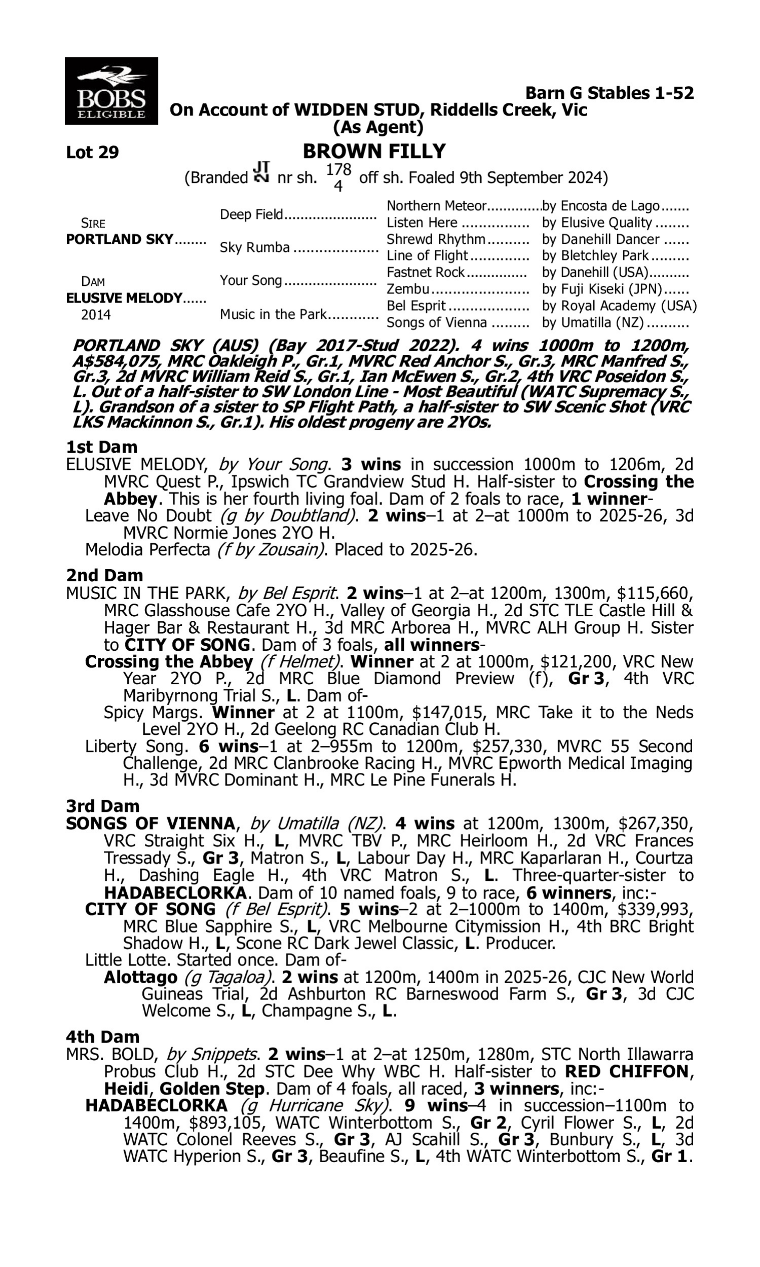 Pedigree for Lot 29 Portland Sky - Elusive Melody