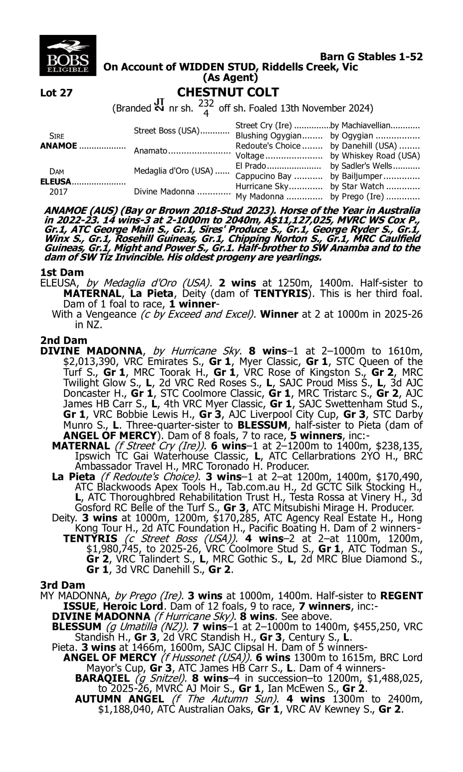 Pedigree for Lot 27 Anamoe - Eleusa