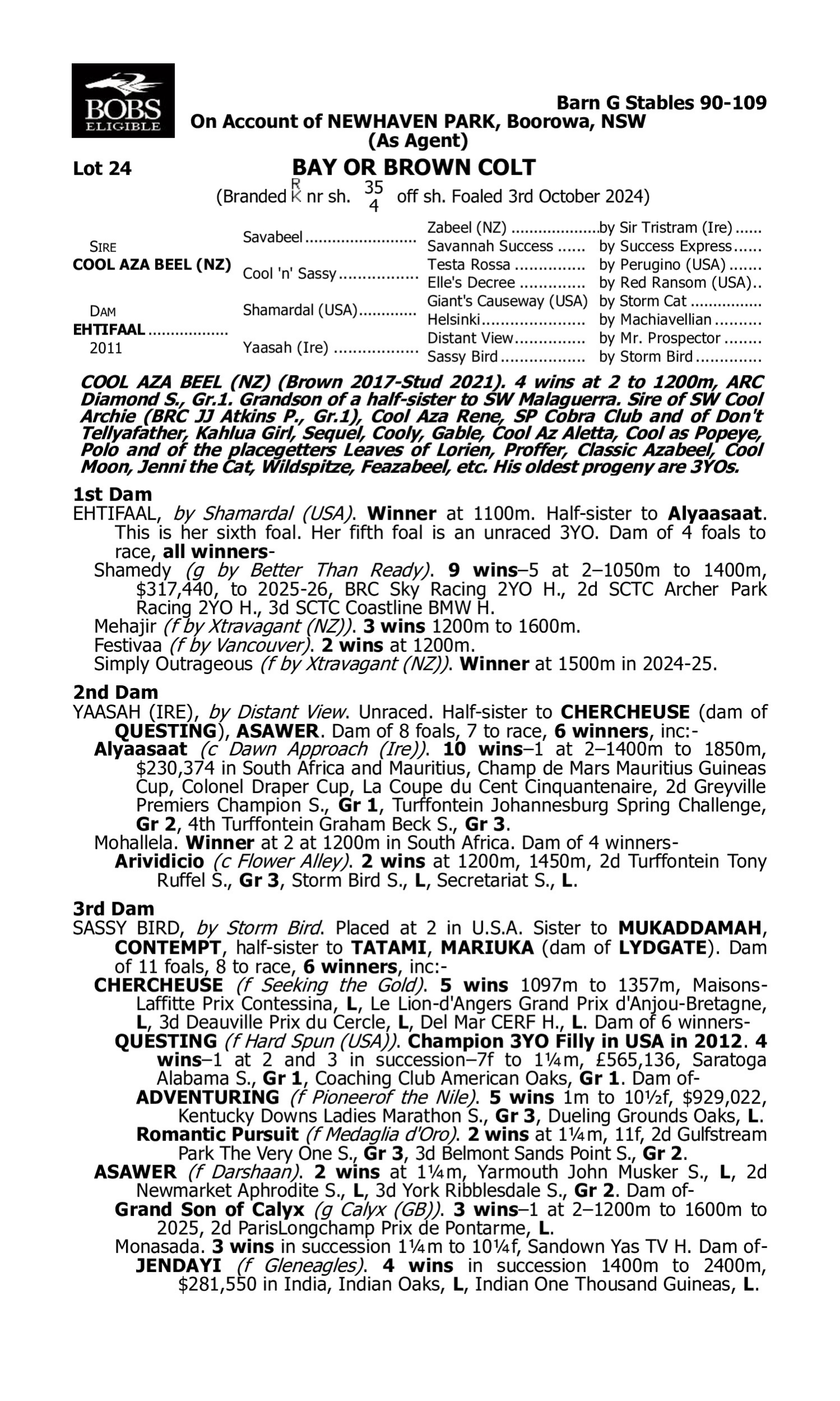 Pedigree for Lot 24 Cool Aza Beel (NZ) - Ehtifaal